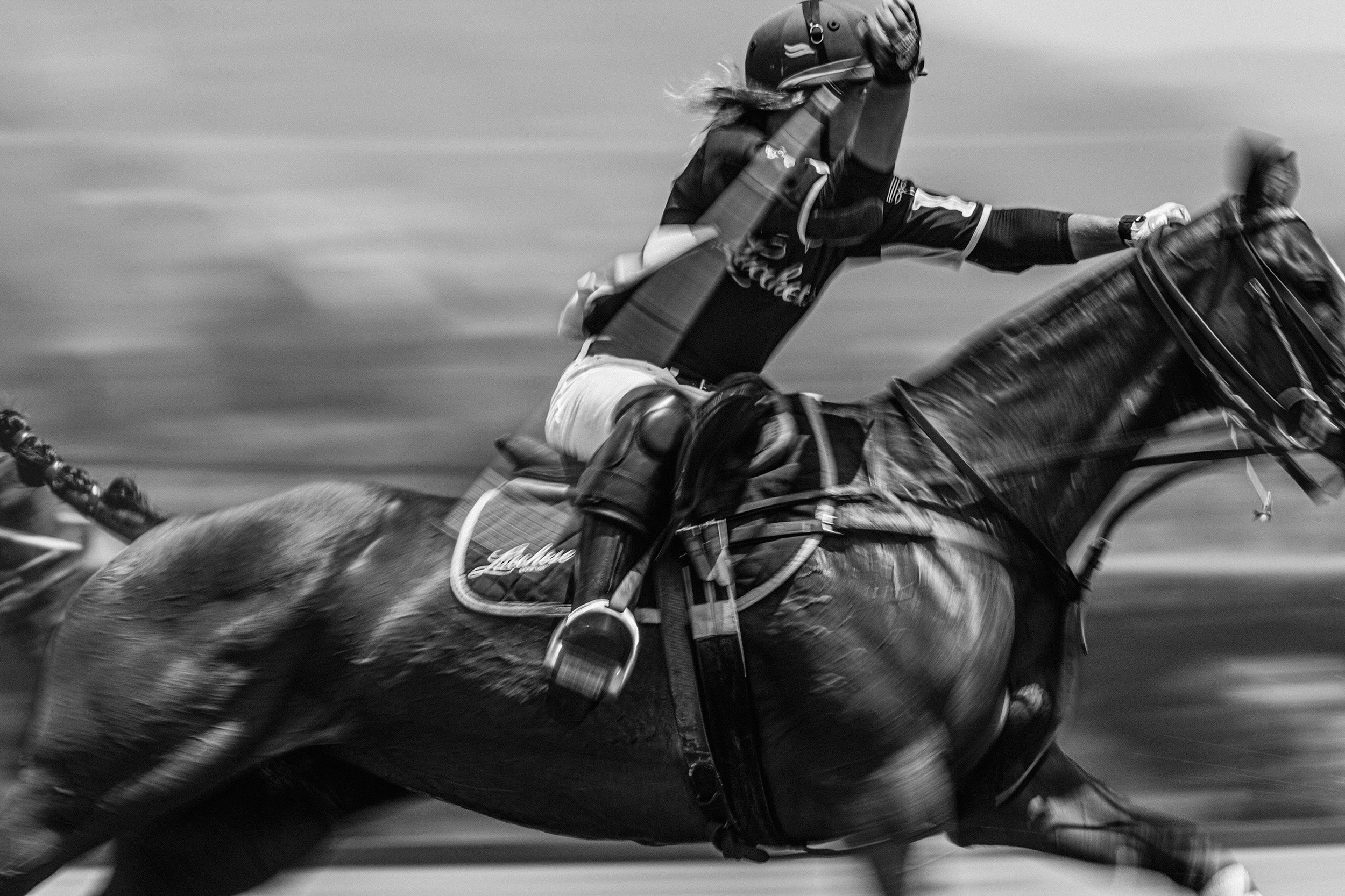 1POLO-4229-Edit.jpg