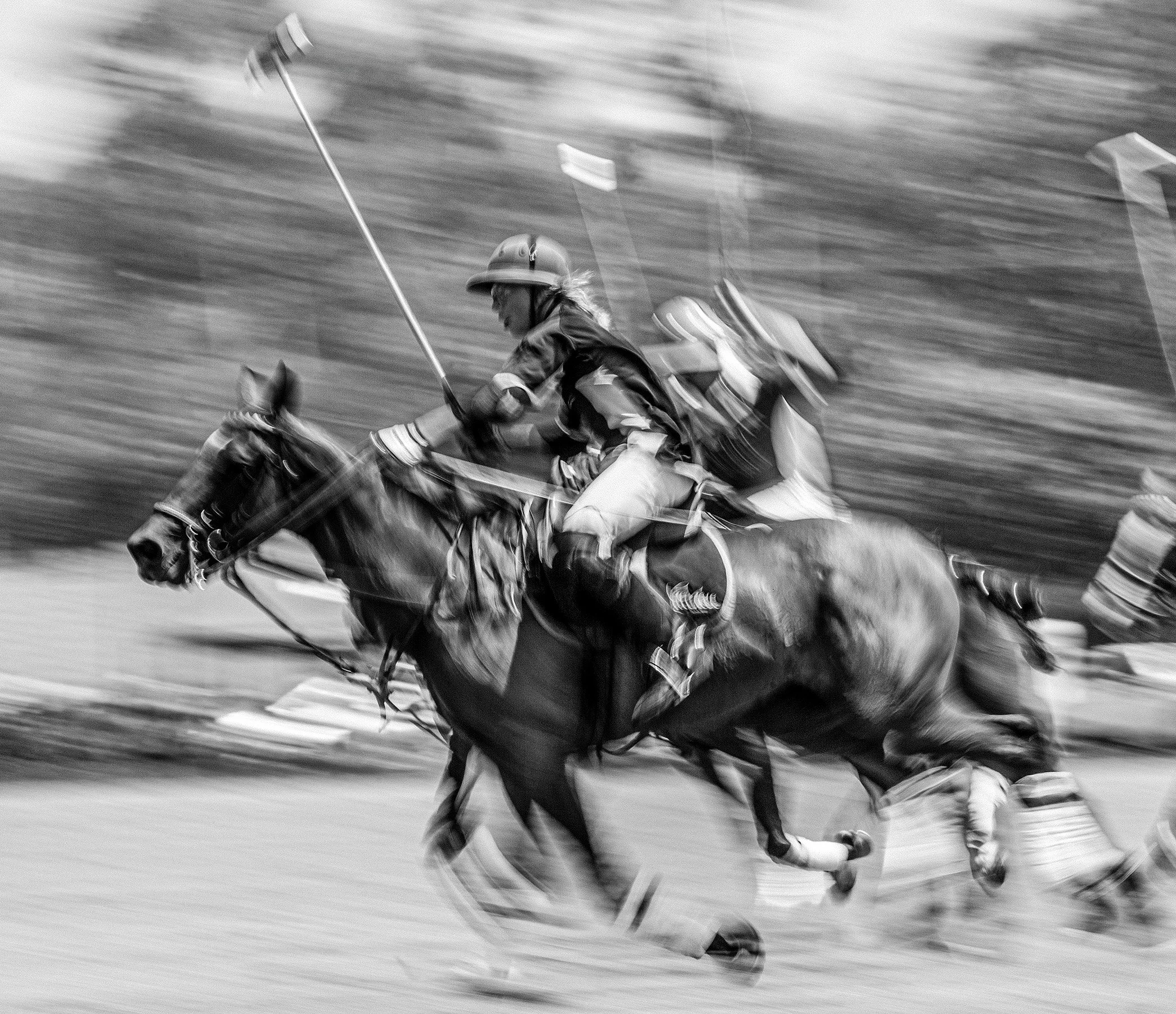 1POLO-4499-Edit-2-Edit.jpg