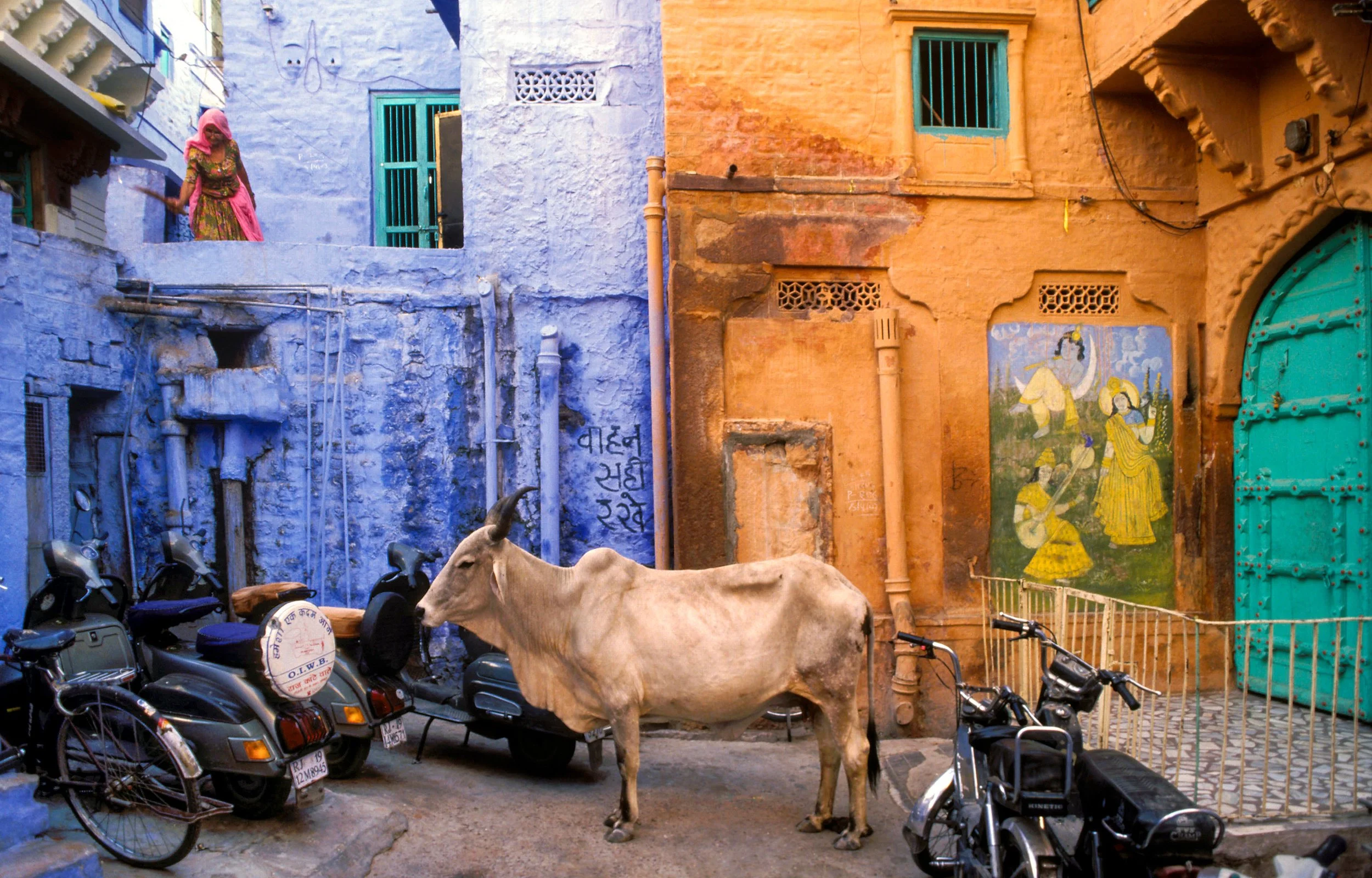 Jodhpur, Rajasthan