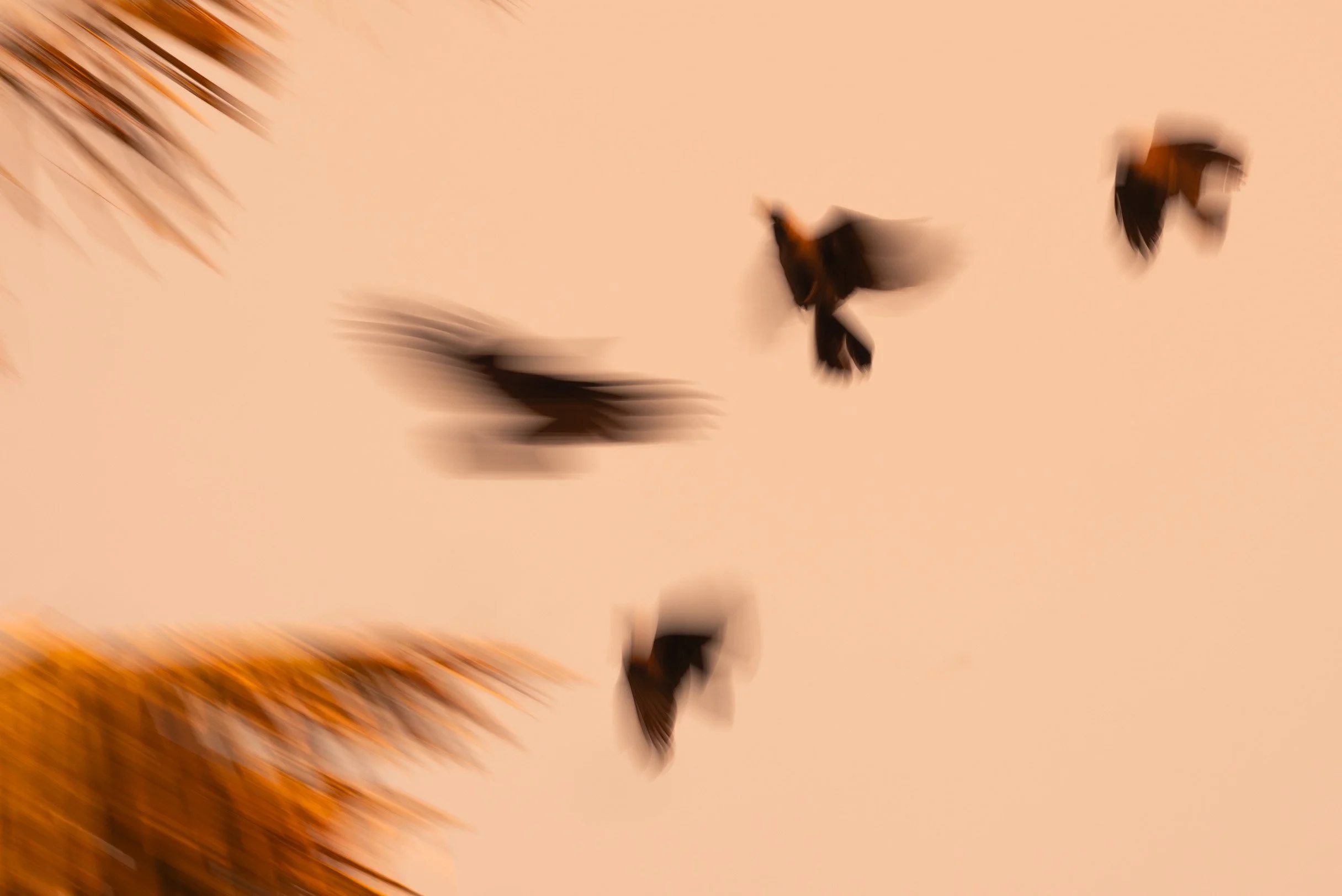 11-89547-Edit.jpg