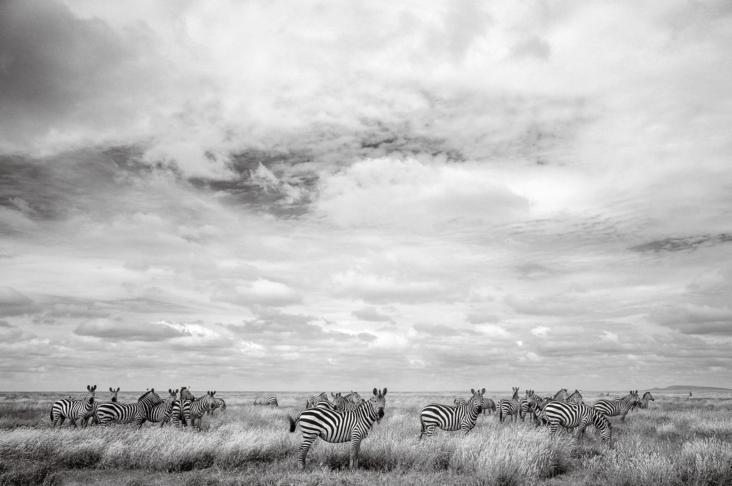 Serengeti, Tanzania