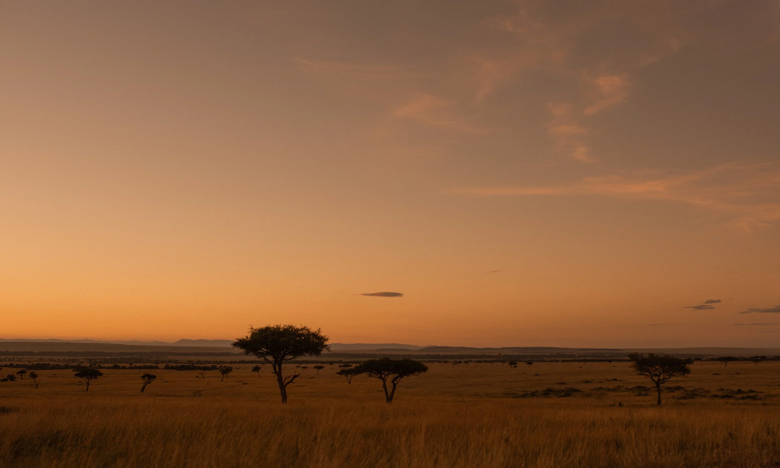 1KENYA12354-Edit.jpg