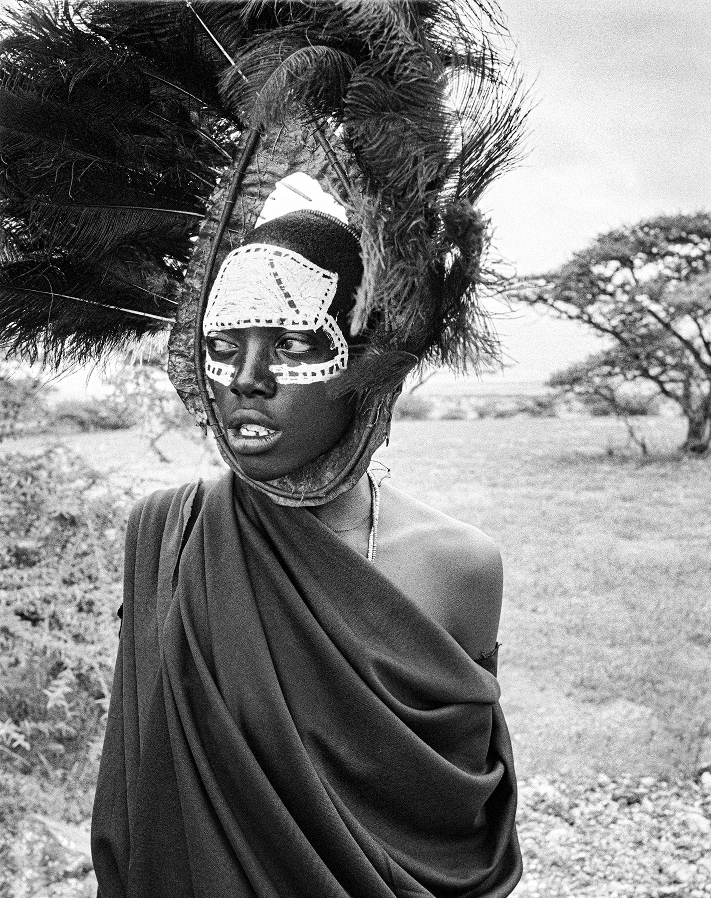 Serengeti, Tanzania