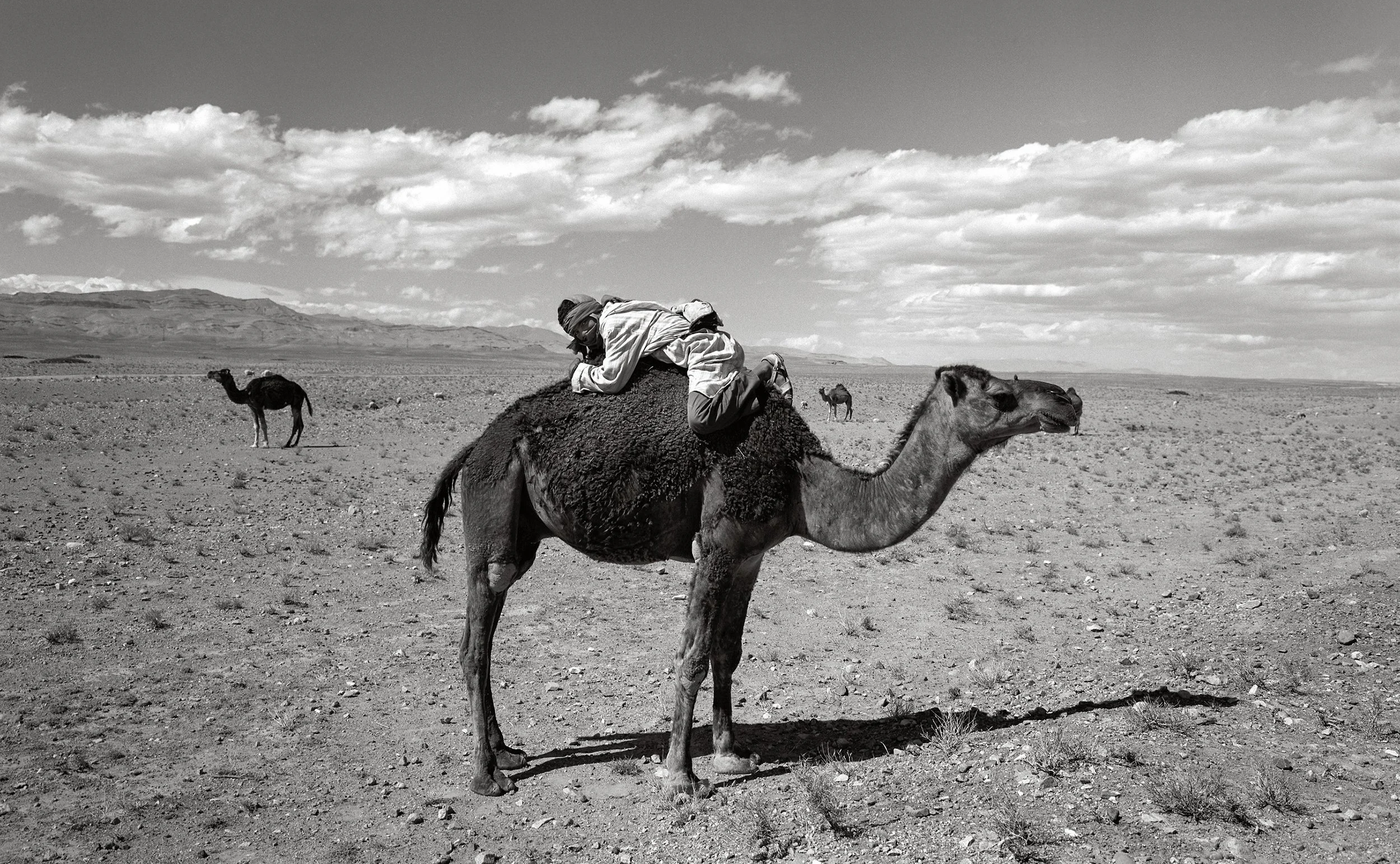 Sahara Desert, Morocco