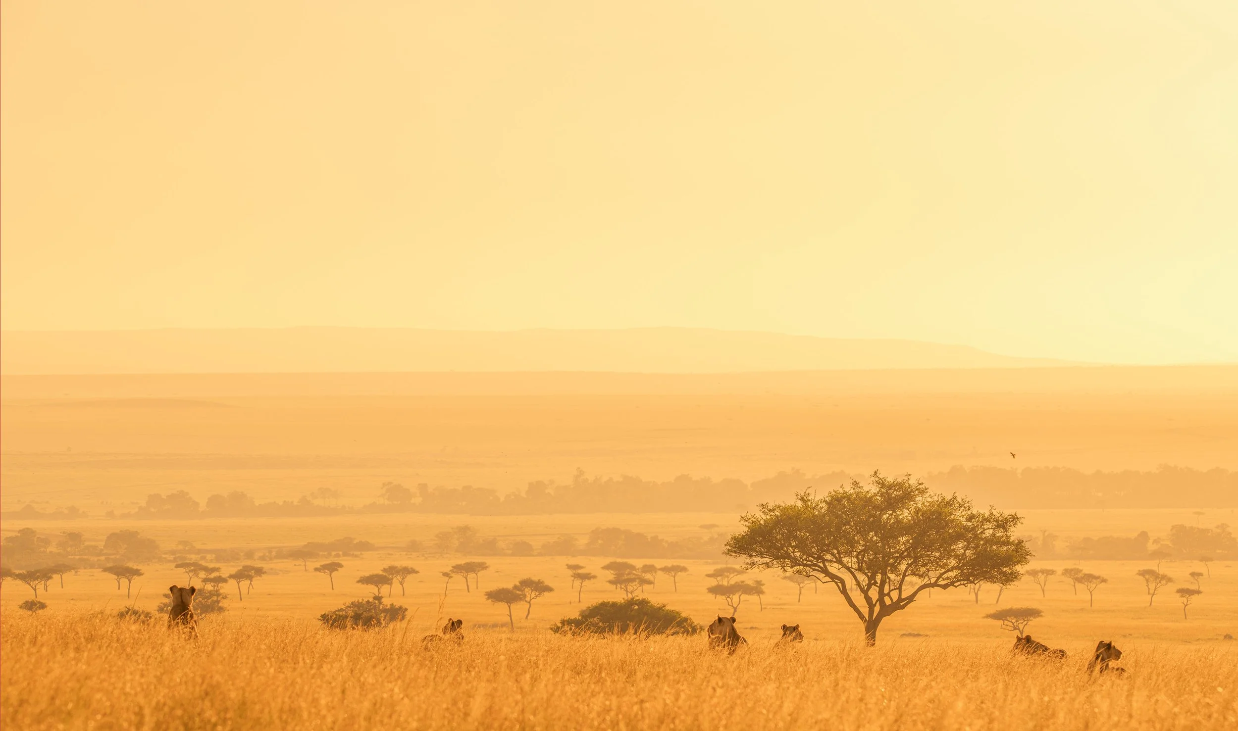 1KENYA14098-Edit.jpg
