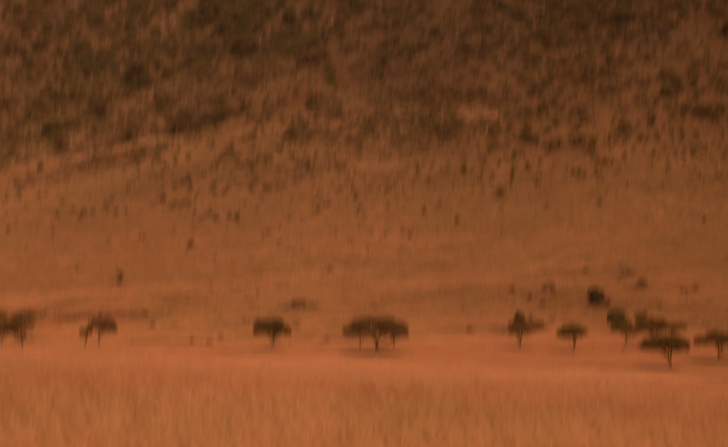 1KENYA14782s-Edit.jpg