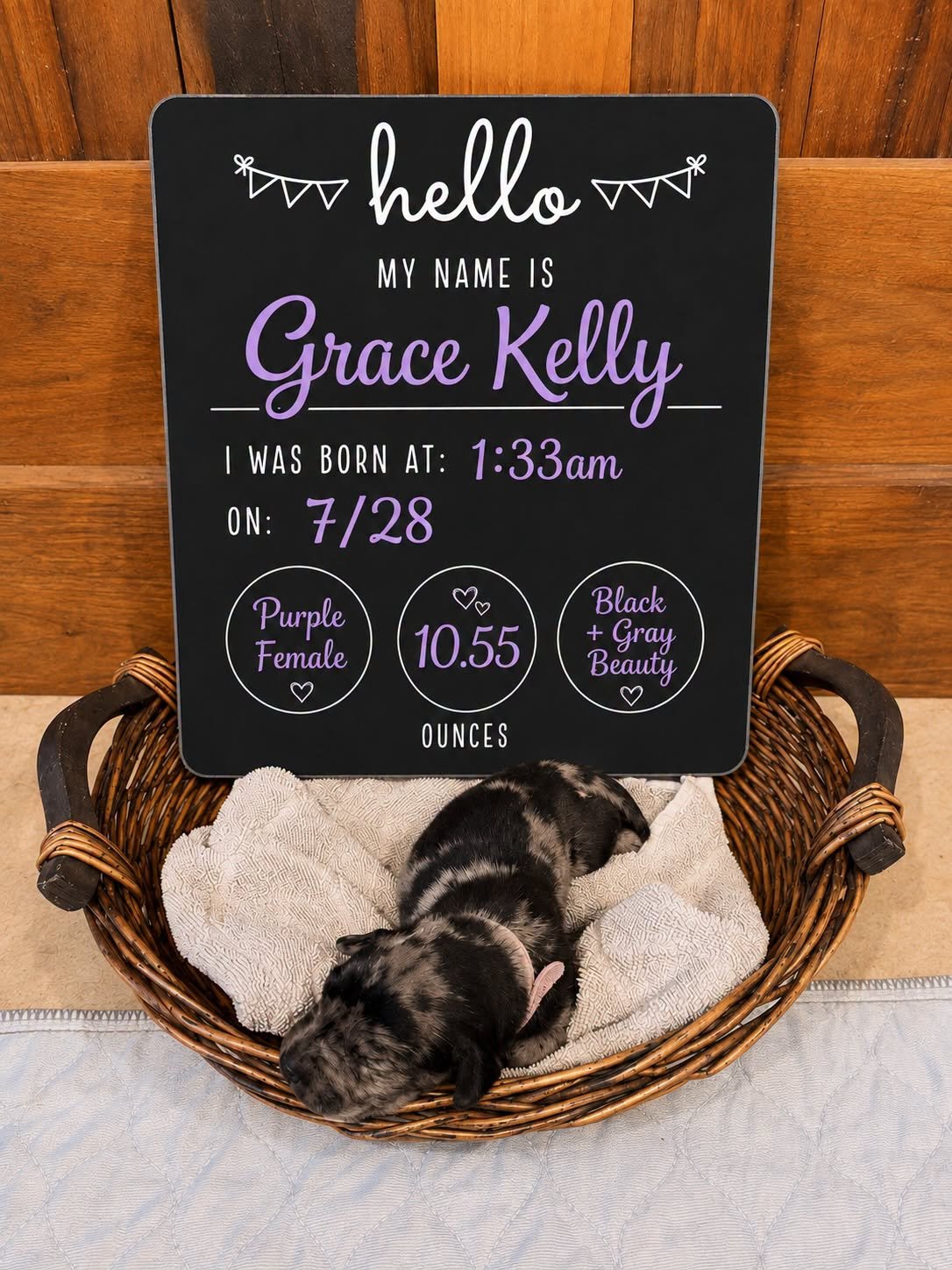 Grace Kelly.jpg