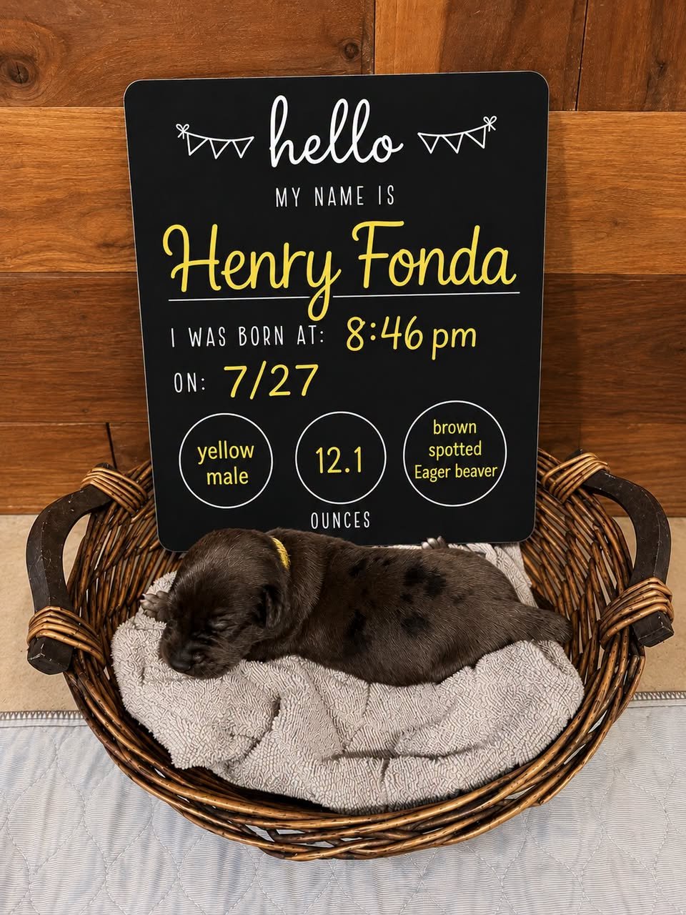 Henry Fonda.jpg