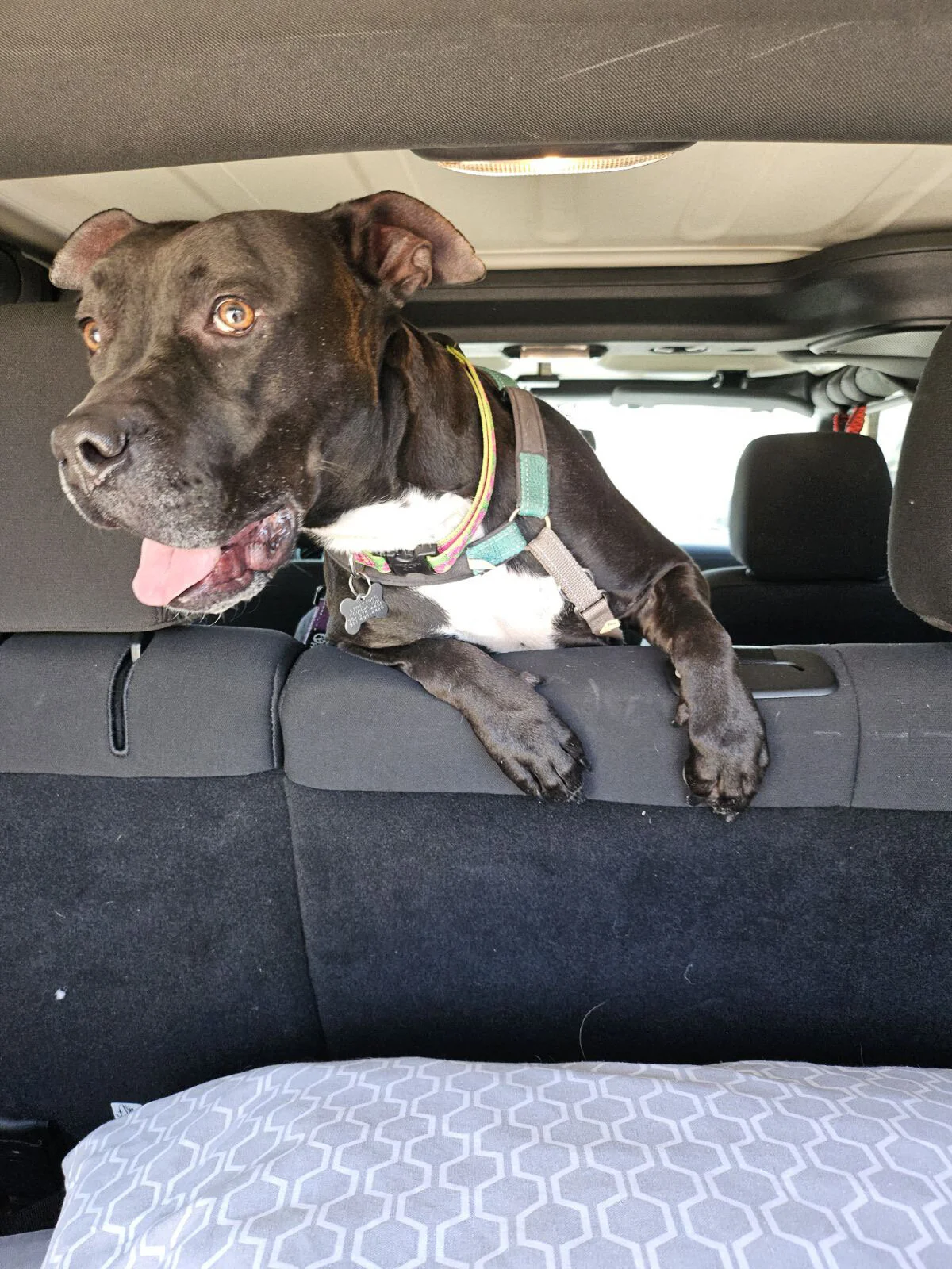 3F41E0BD-F79C-48F8-956B-F6EC0DE98BEF