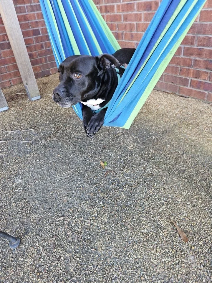 83929317-4E64-4C96-BA79-939E83D9671A