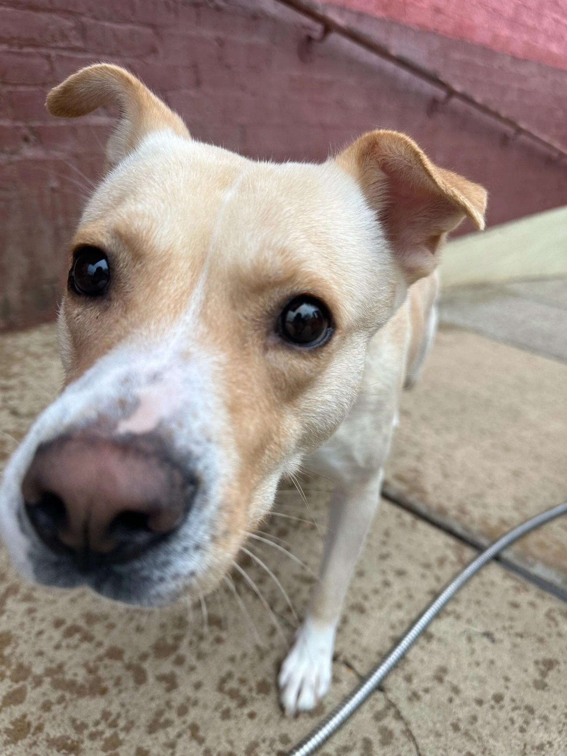 D87D2D2A-02D2-4879-A8DB-51B00FF119DA