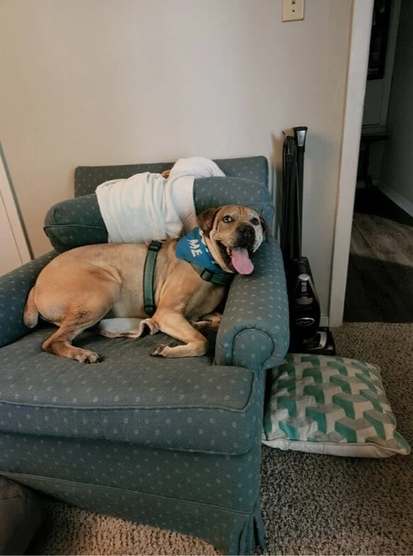 1A6FC27F-1C3E-4560-9AD8-A1B01B917406