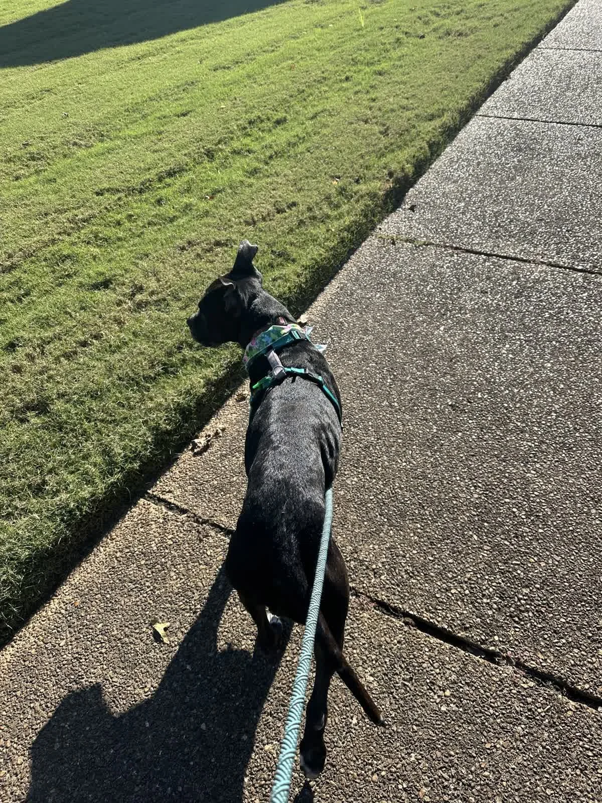 3024x4032.original.jpeg-3.jpg