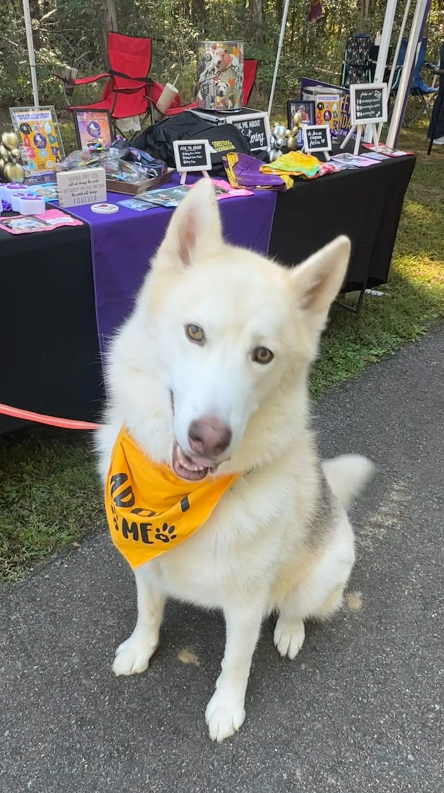 FullSizeRender 2.JPG