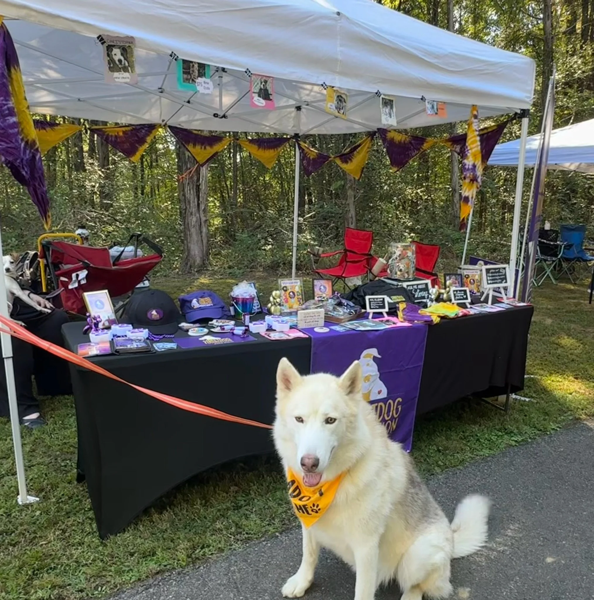 FullSizeRender 4.JPG