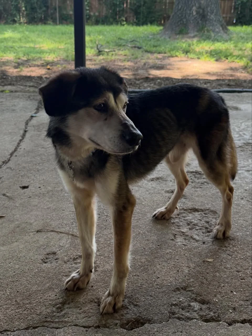 720192344_18591485986059245_2971439791136539473_n.jpg