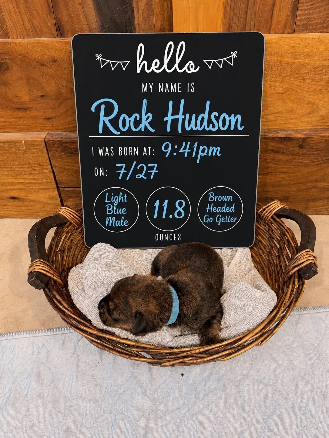 Rock Hudson.jpg