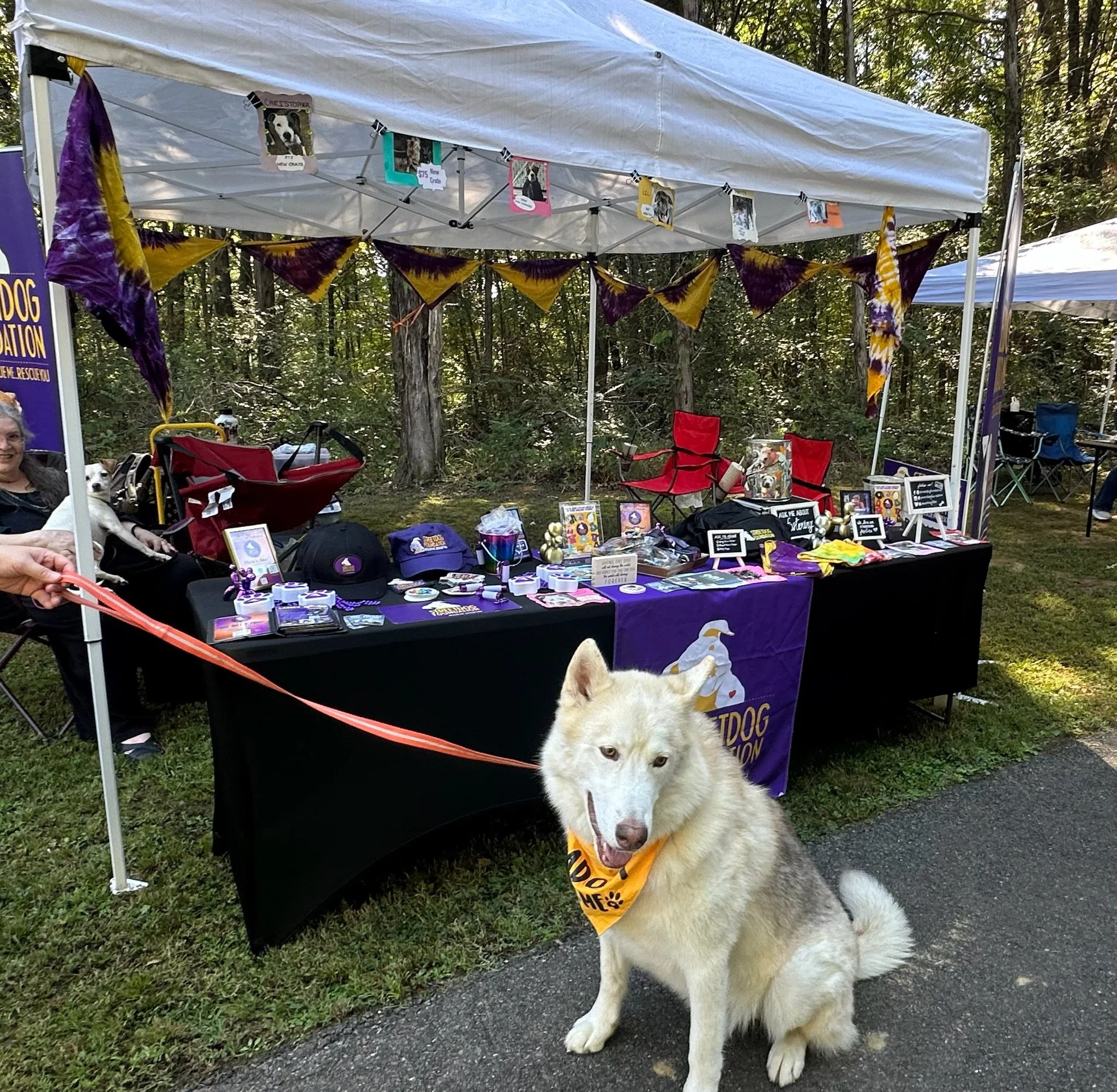 FullSizeRender 3.JPG