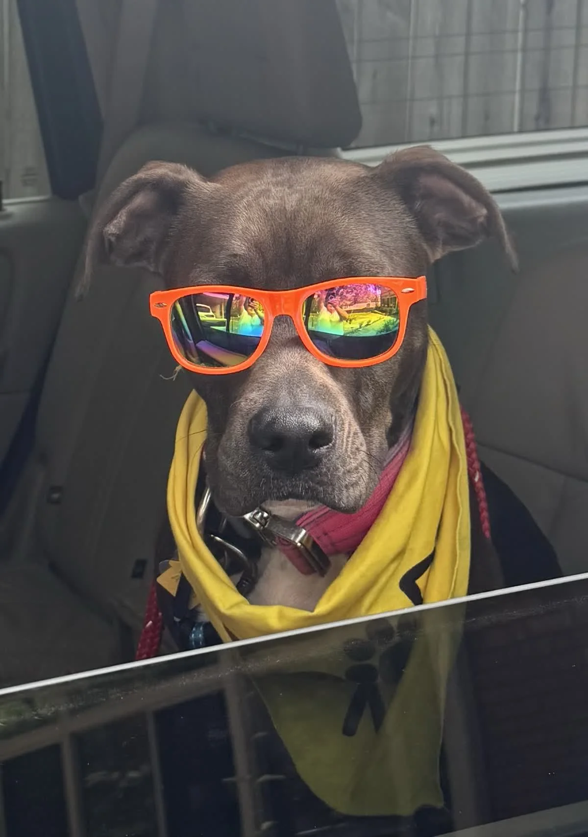 laney.jpeg.jpg