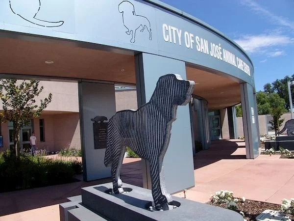 City Council and Data Center Meetings