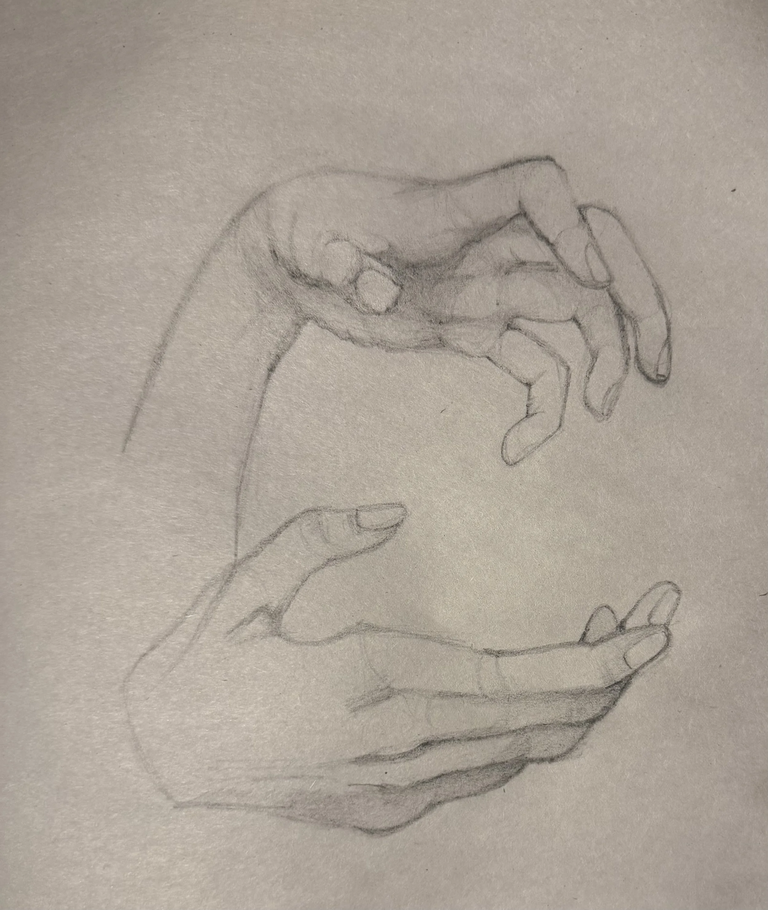 pencil hand study. 2025.
