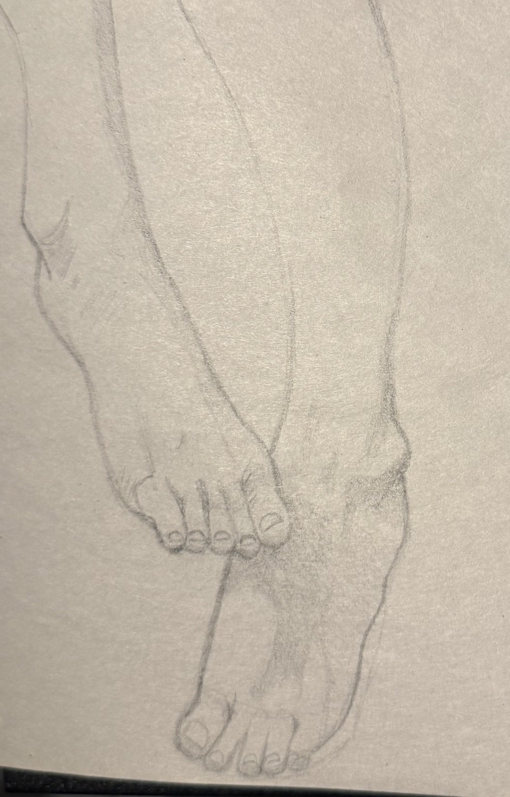 pencil feet study. 2025.
