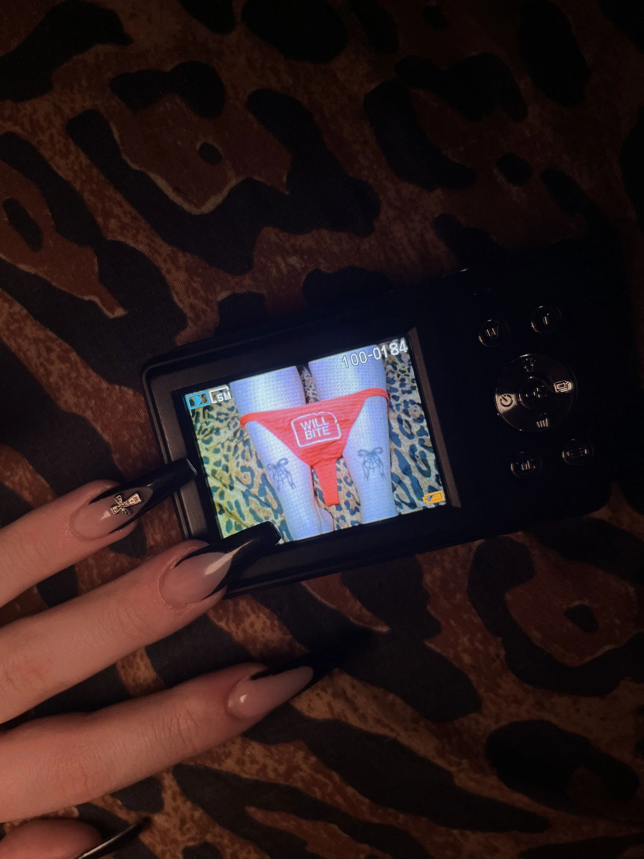 Photo Feb 17 2025, 12 59 16 AM.jpg