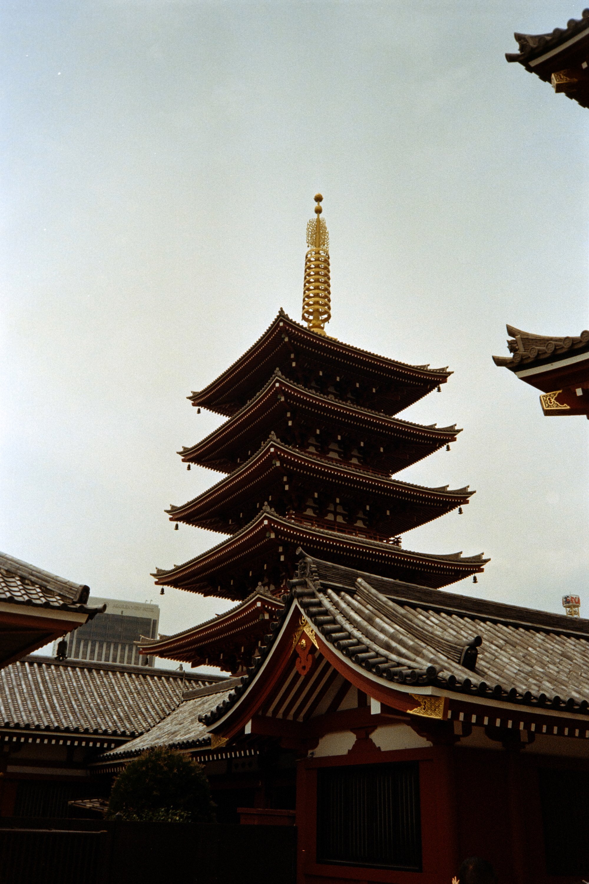 2976-gold-5262.jpeg