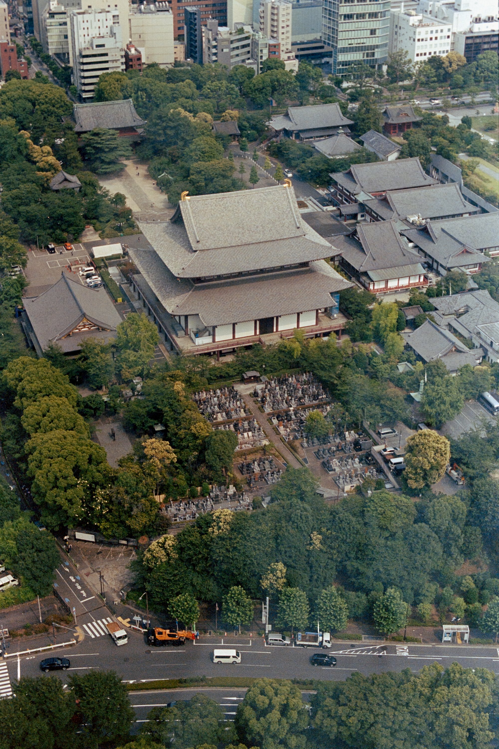 6951-portra-3128 (1).jpeg
