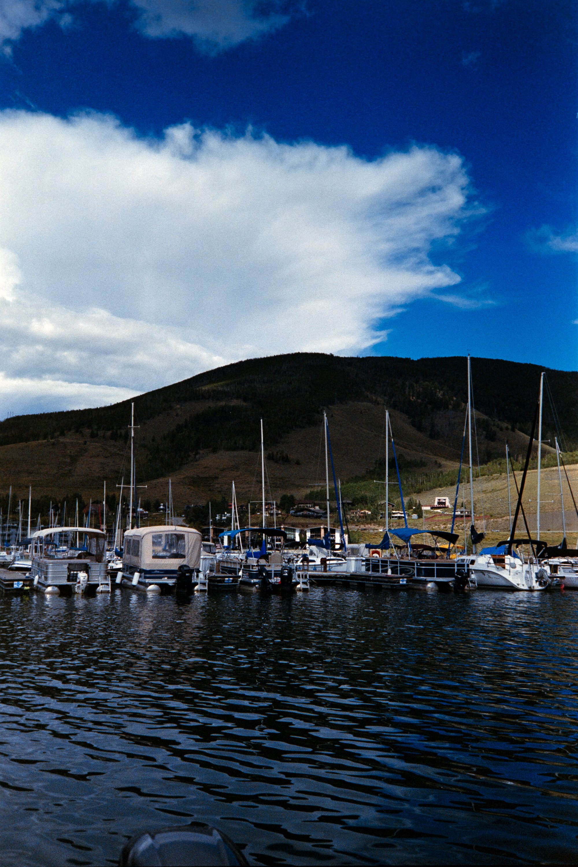 6950-superia-3010.jpeg