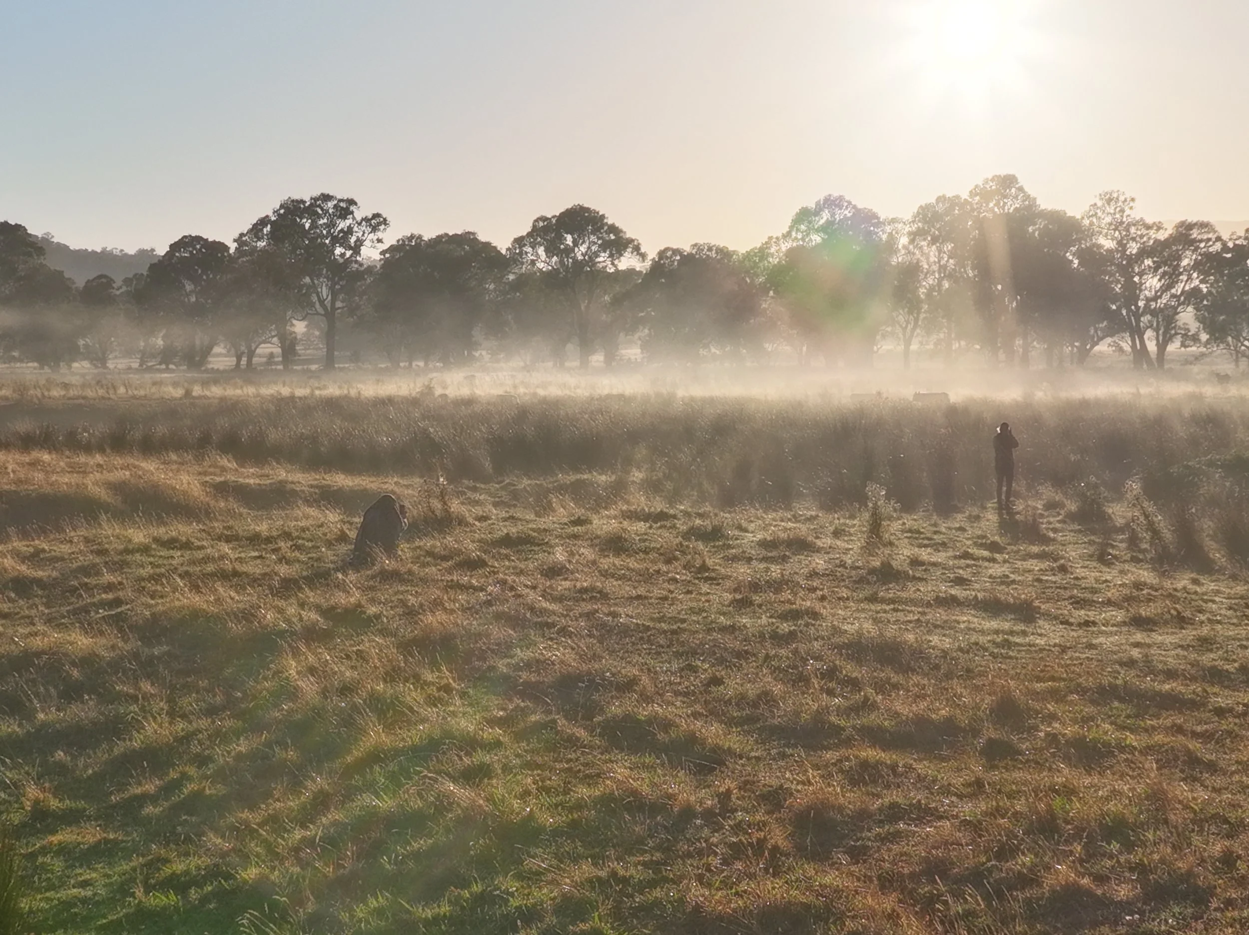 Rural Farm20250318075807_0005_V.JPG