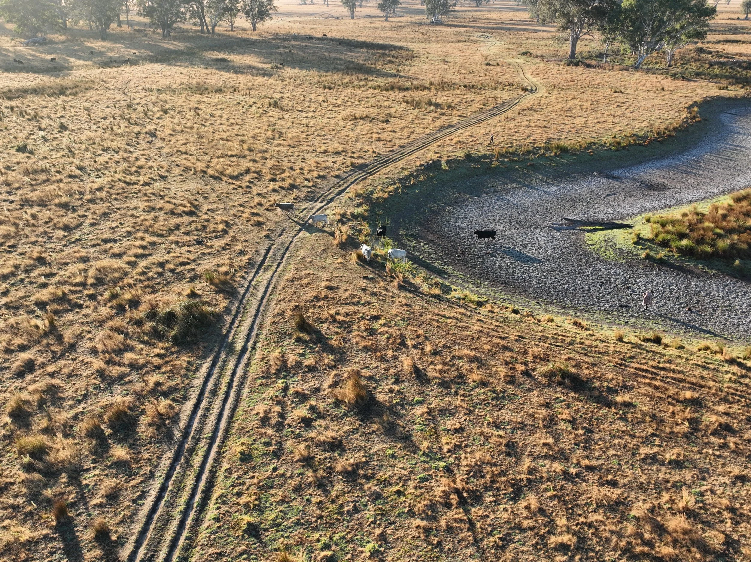 Rural Farm20250318081049_0017_V.JPG