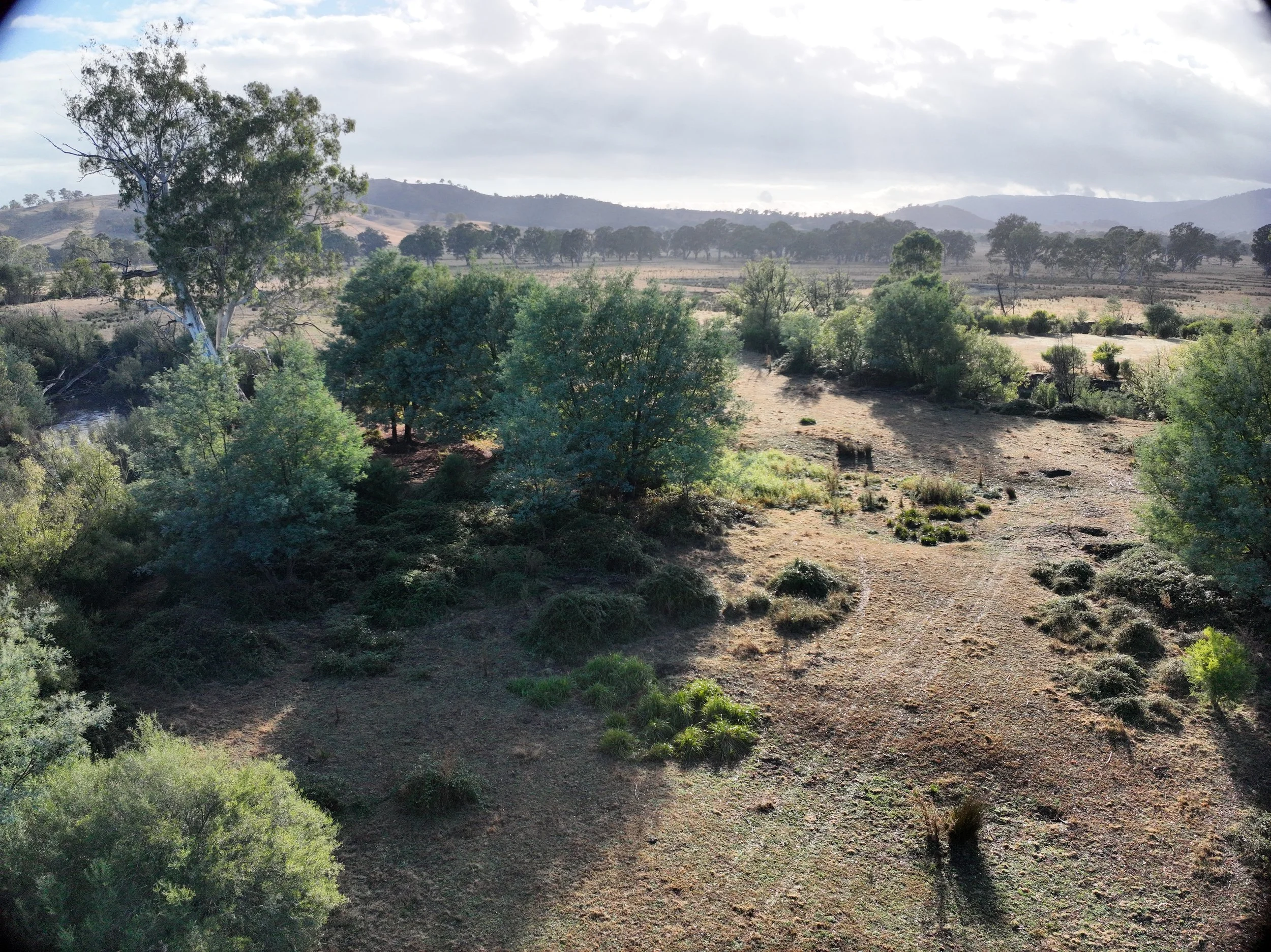 Rural Farm20250317085559_0001_V.JPG