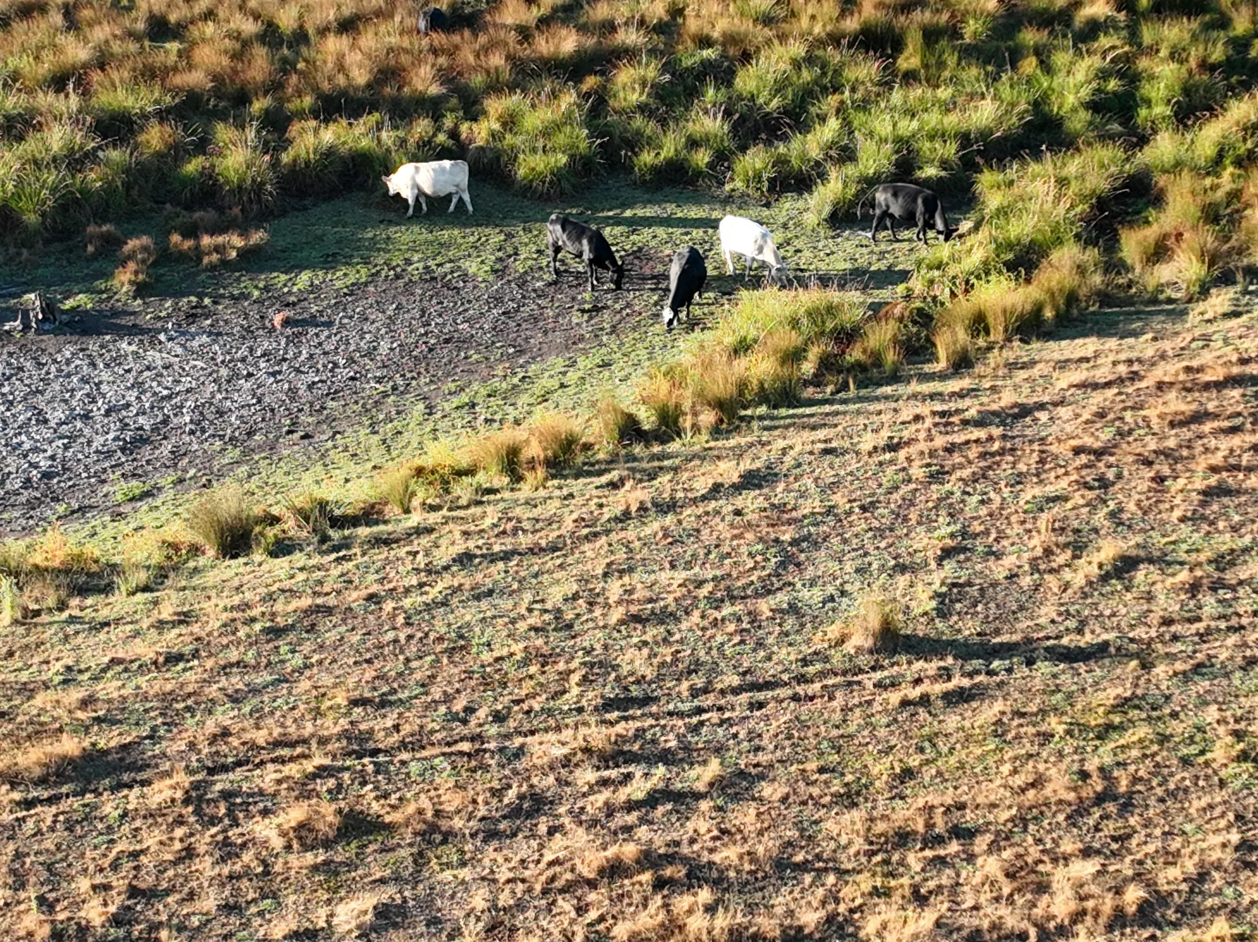 Rural Farm20250318081037_0016_V.JPG