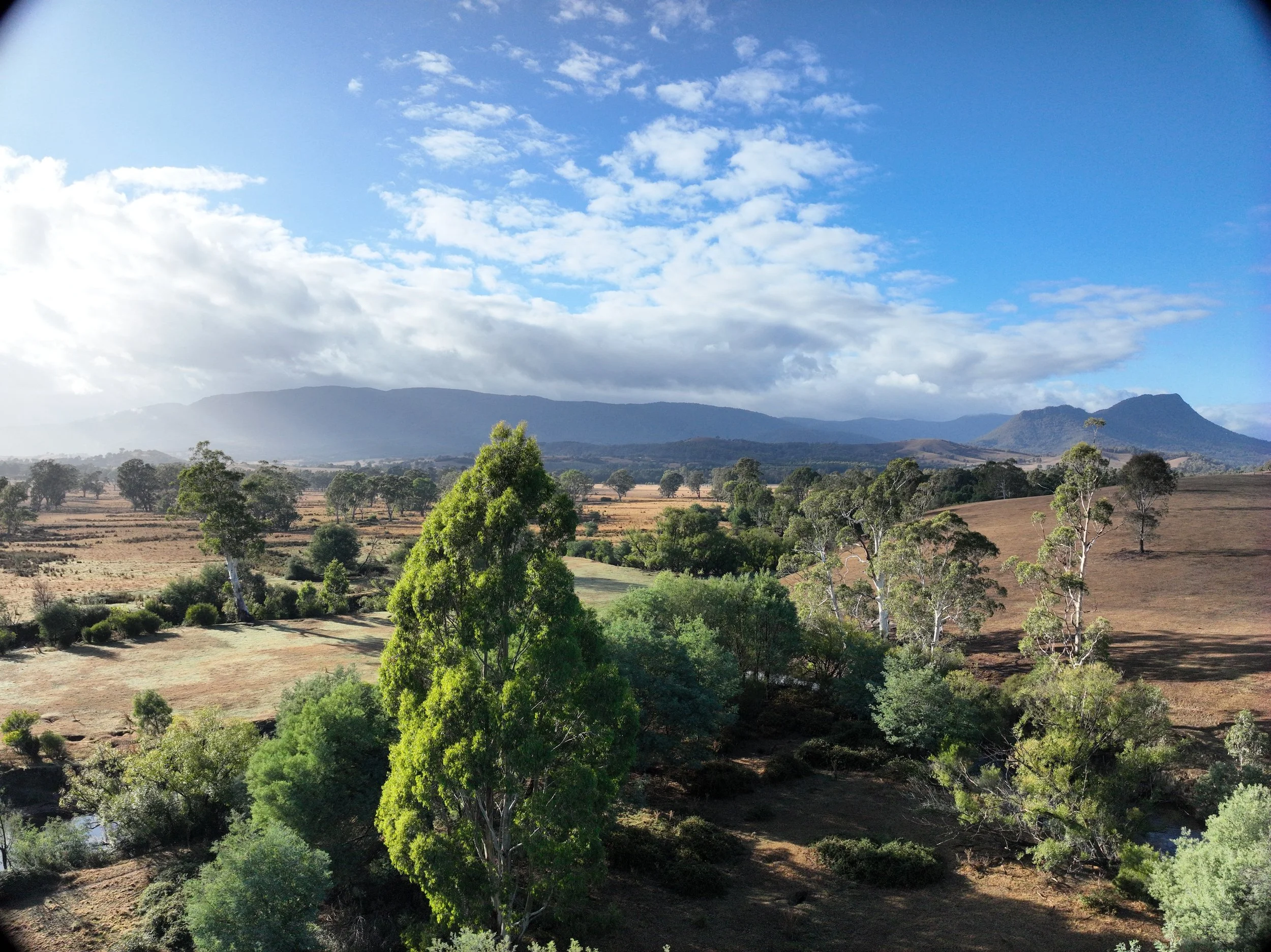 Rural Farm20250317090147_0009_V.JPG