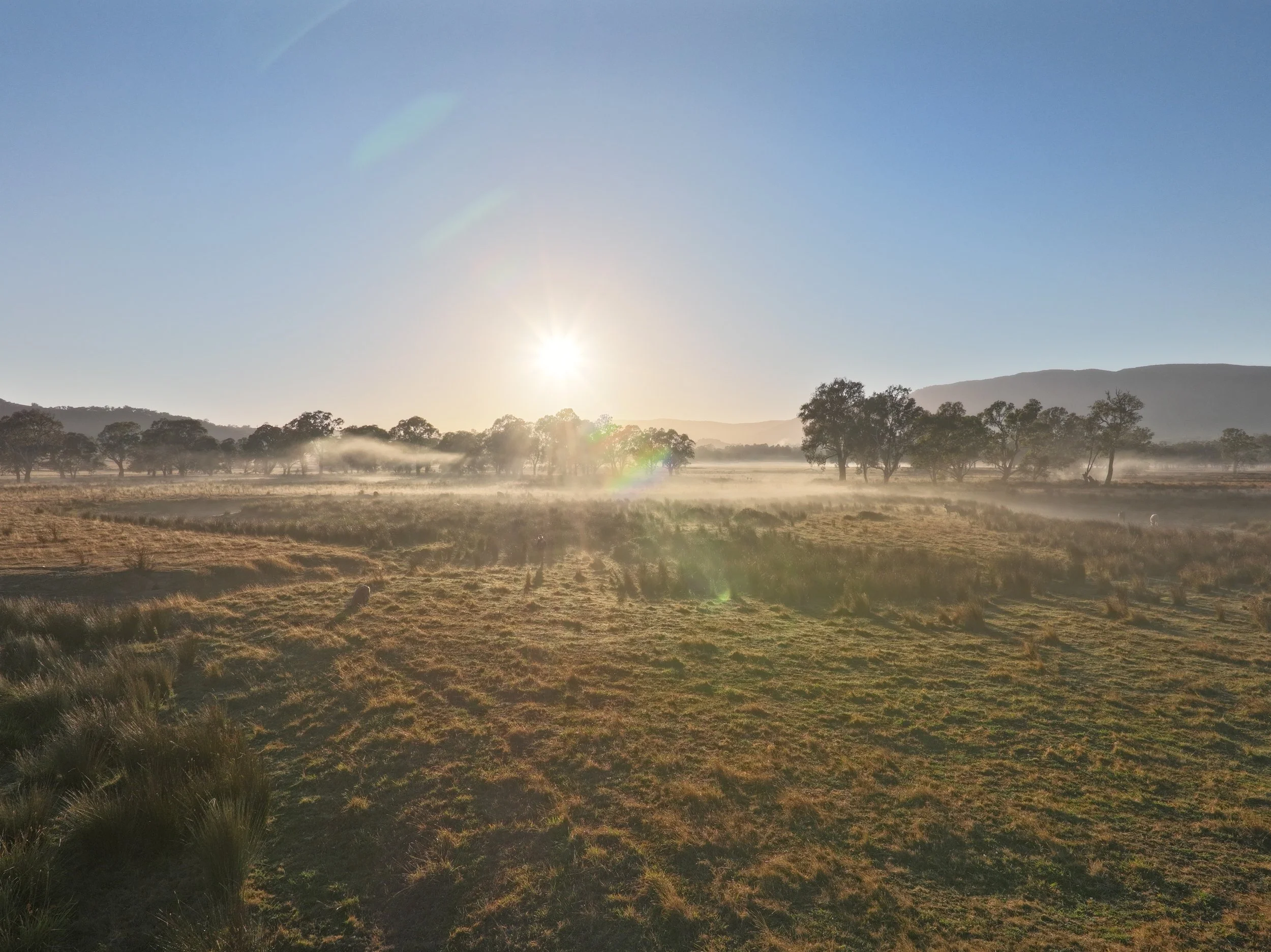 Rural Farm20250318075651_0002_V.JPG