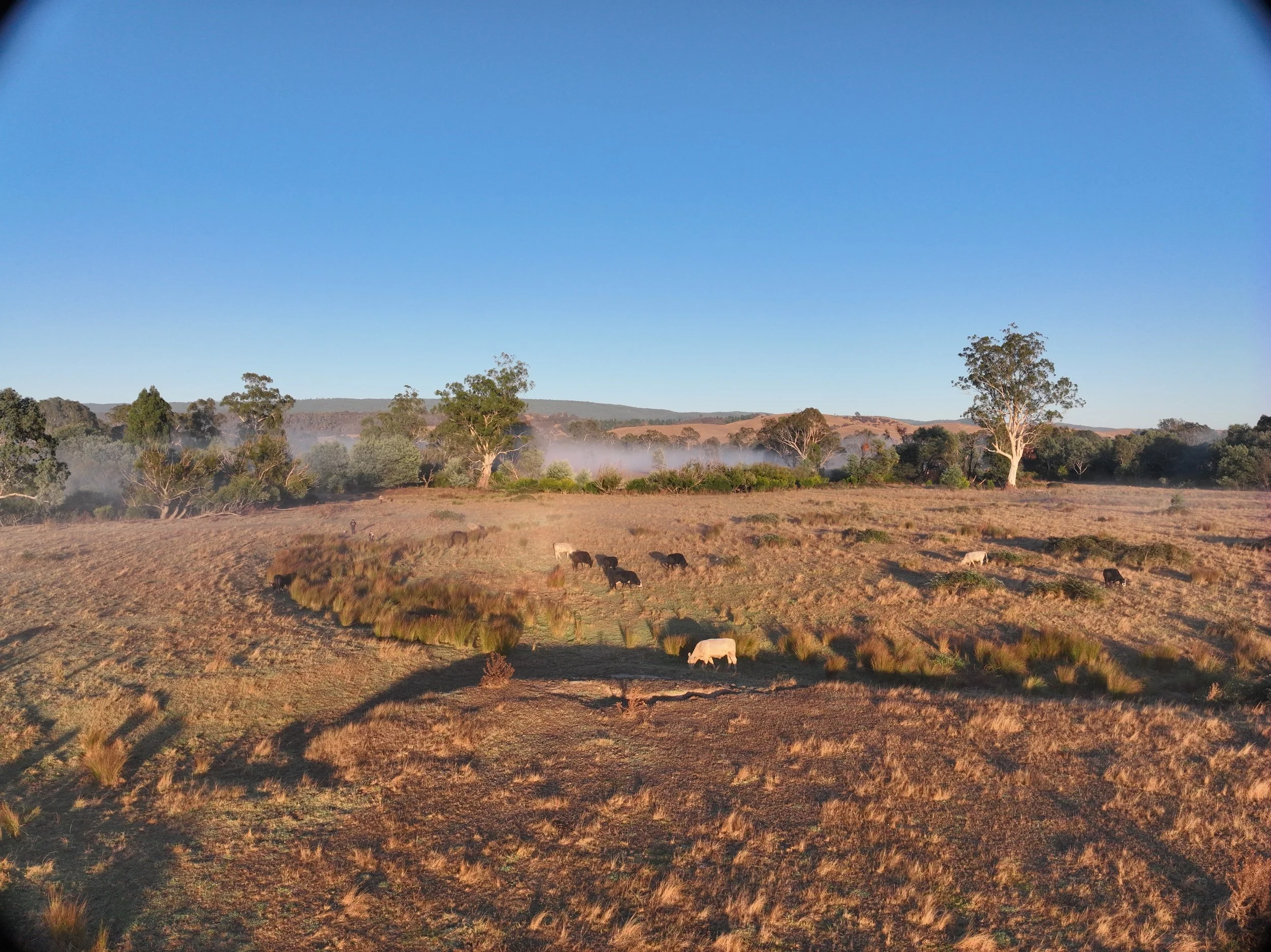 Rural Farm20250318074831_0020_V.JPG