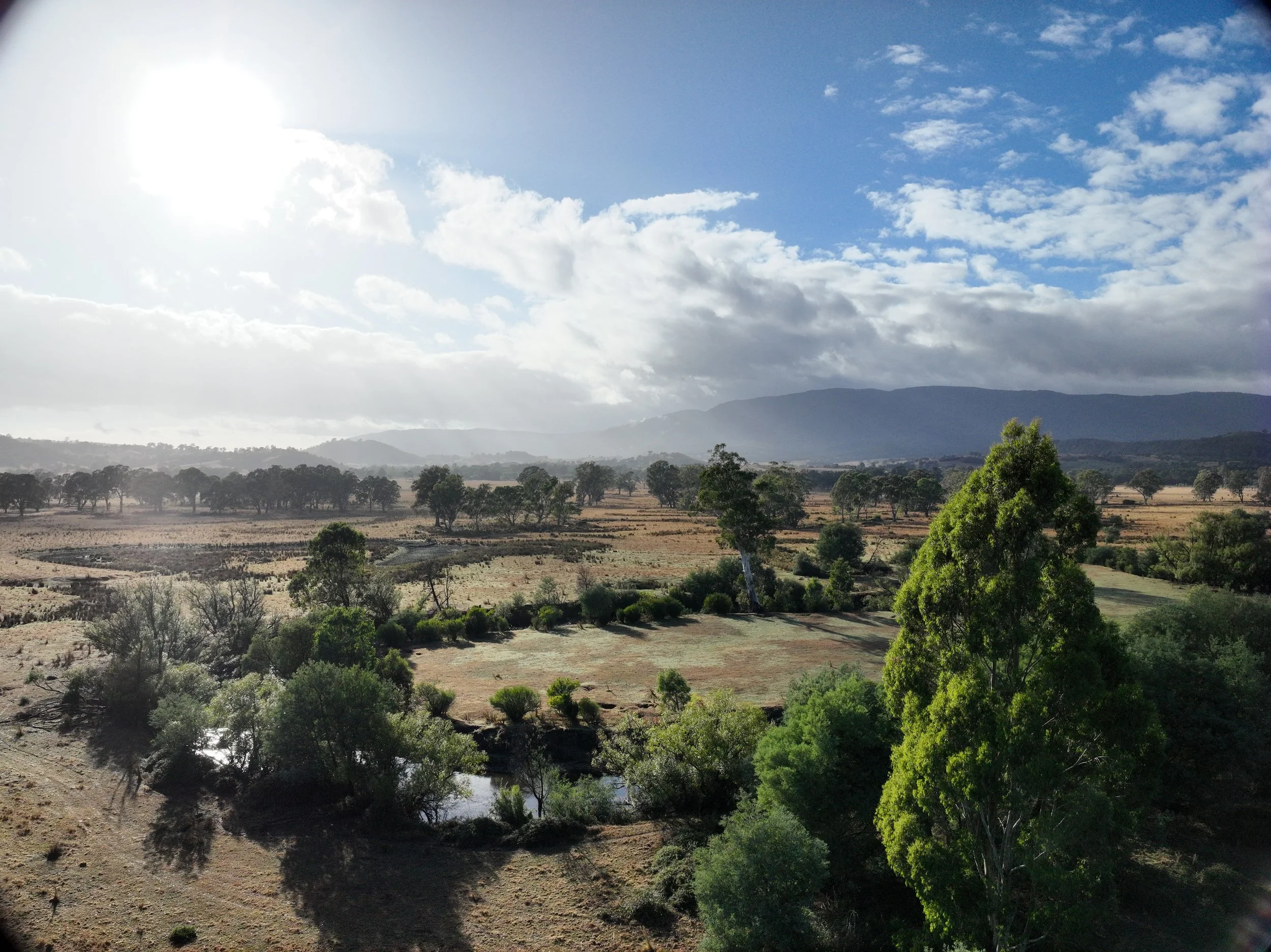 Rural Farm20250317090152_0010_V.JPG