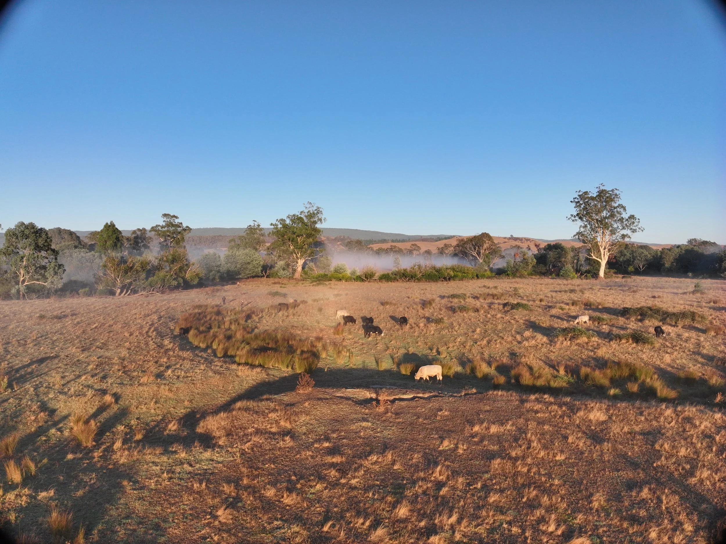 Rural Farm20250318074827_0019_V.JPG