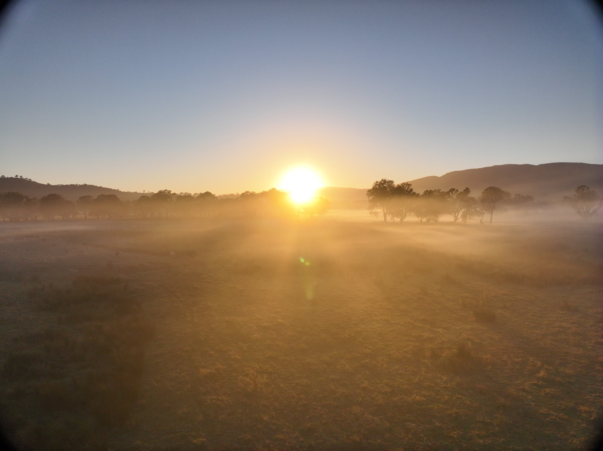 Rural Farm20250318073648_0010_V.JPG