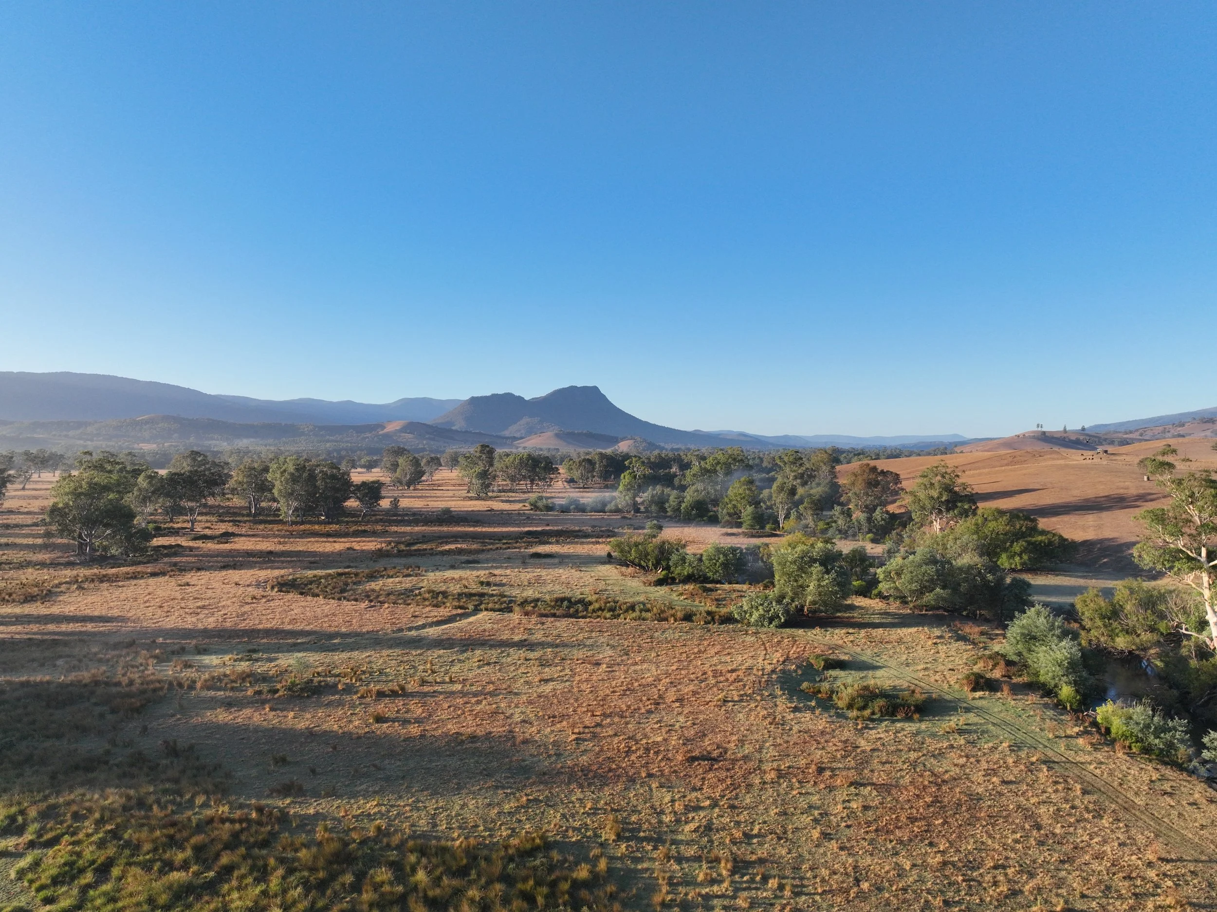 Rural Farm20250318080018_0008_V.JPG