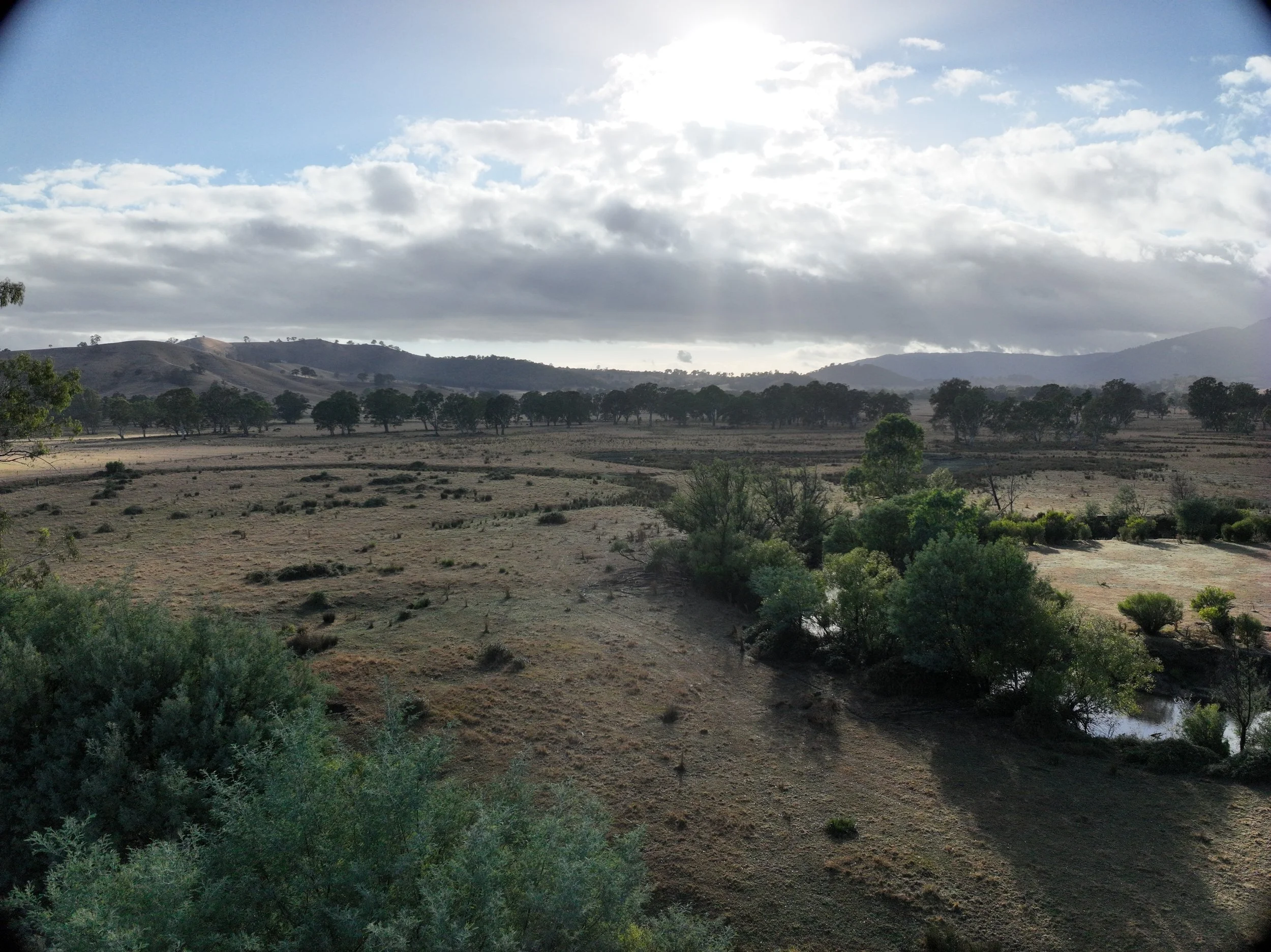 Rural Farm20250317085623_0003_V.JPG