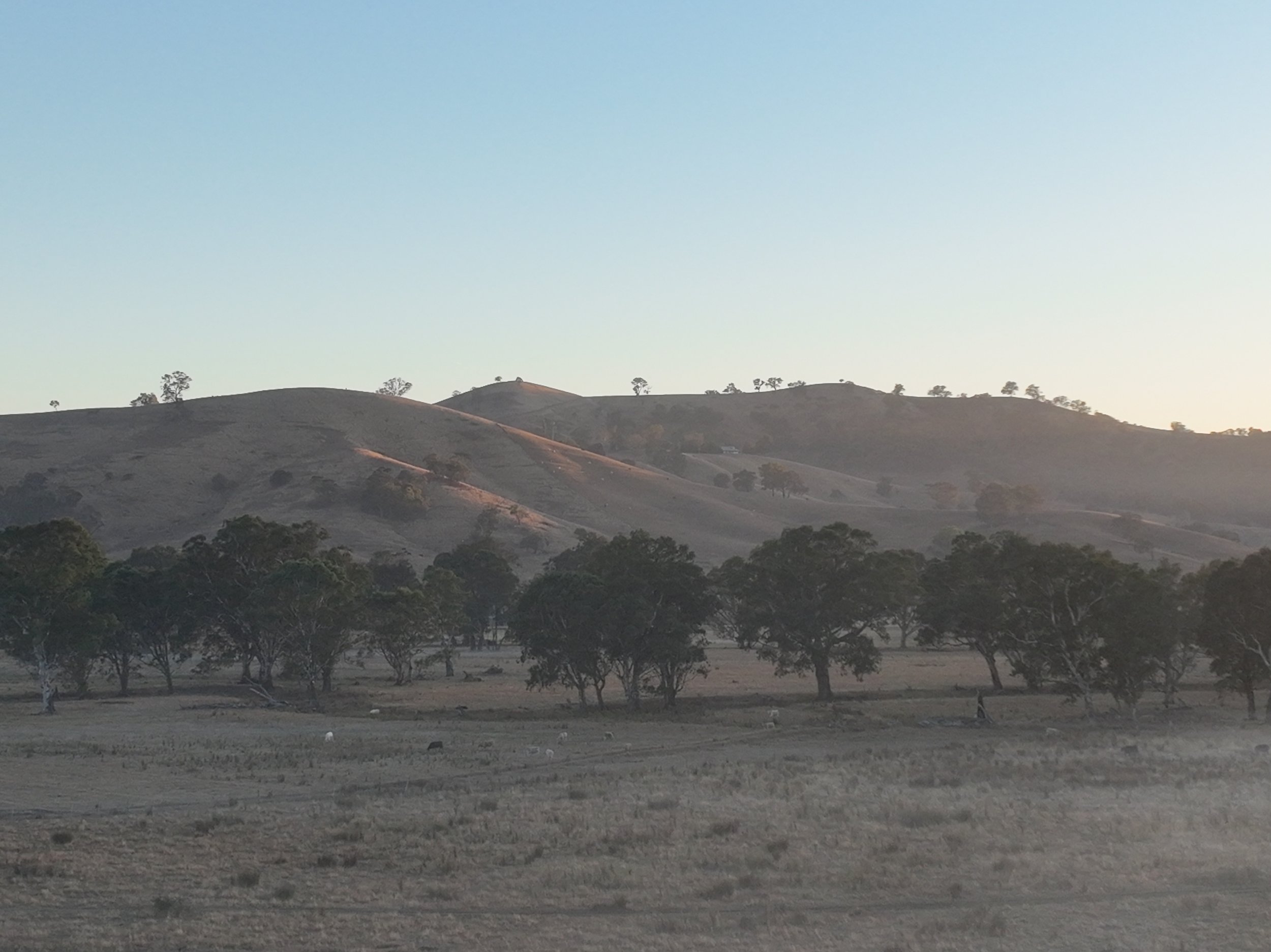 Rural Farm20250318073452_0007_V.JPG