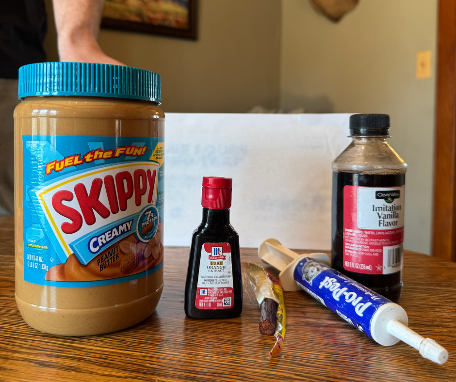 The Best Baits for Catching Mice and Rats (And How to Set a Trap Properly)