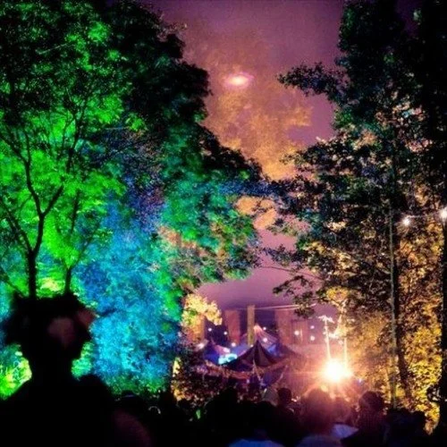 Night scene with colorful lights illuminating trees and a crowd gathered for a festival or concert.