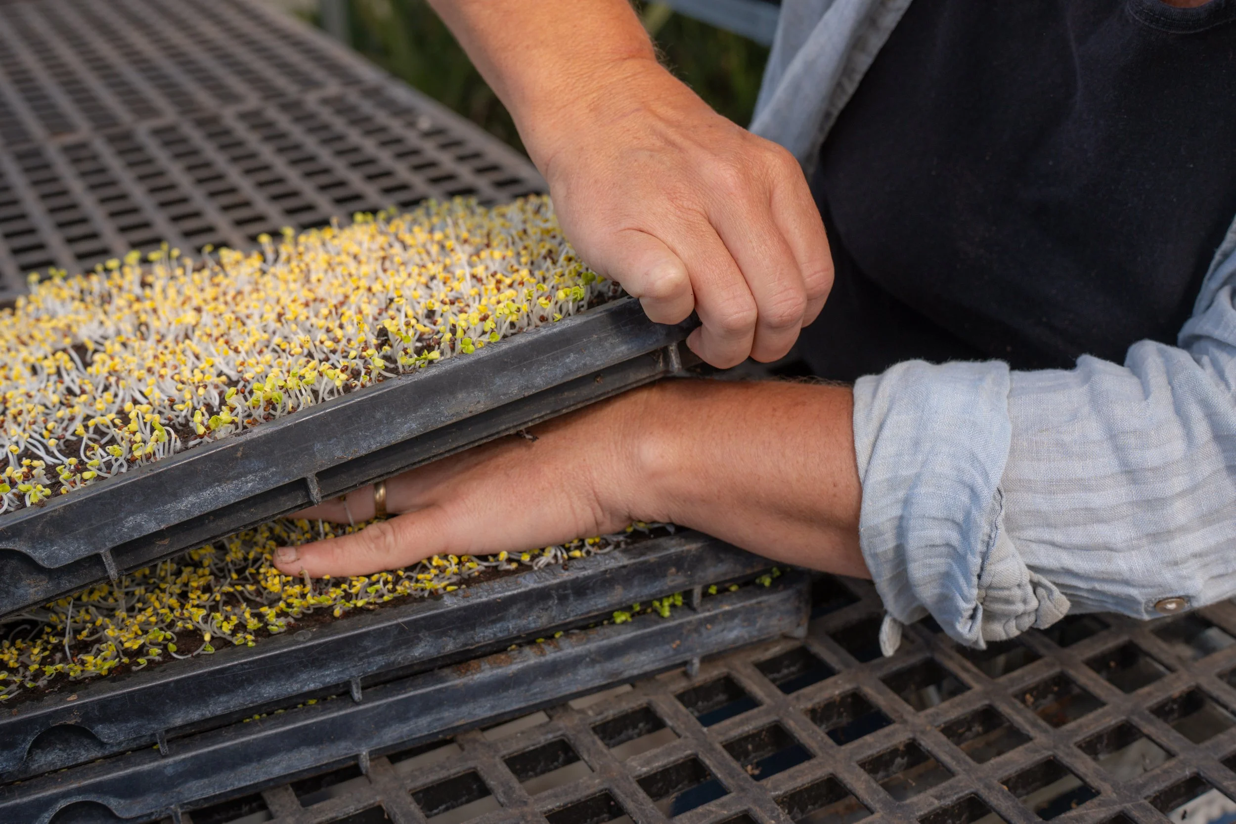 08-10_micro unstacking_6.jpg