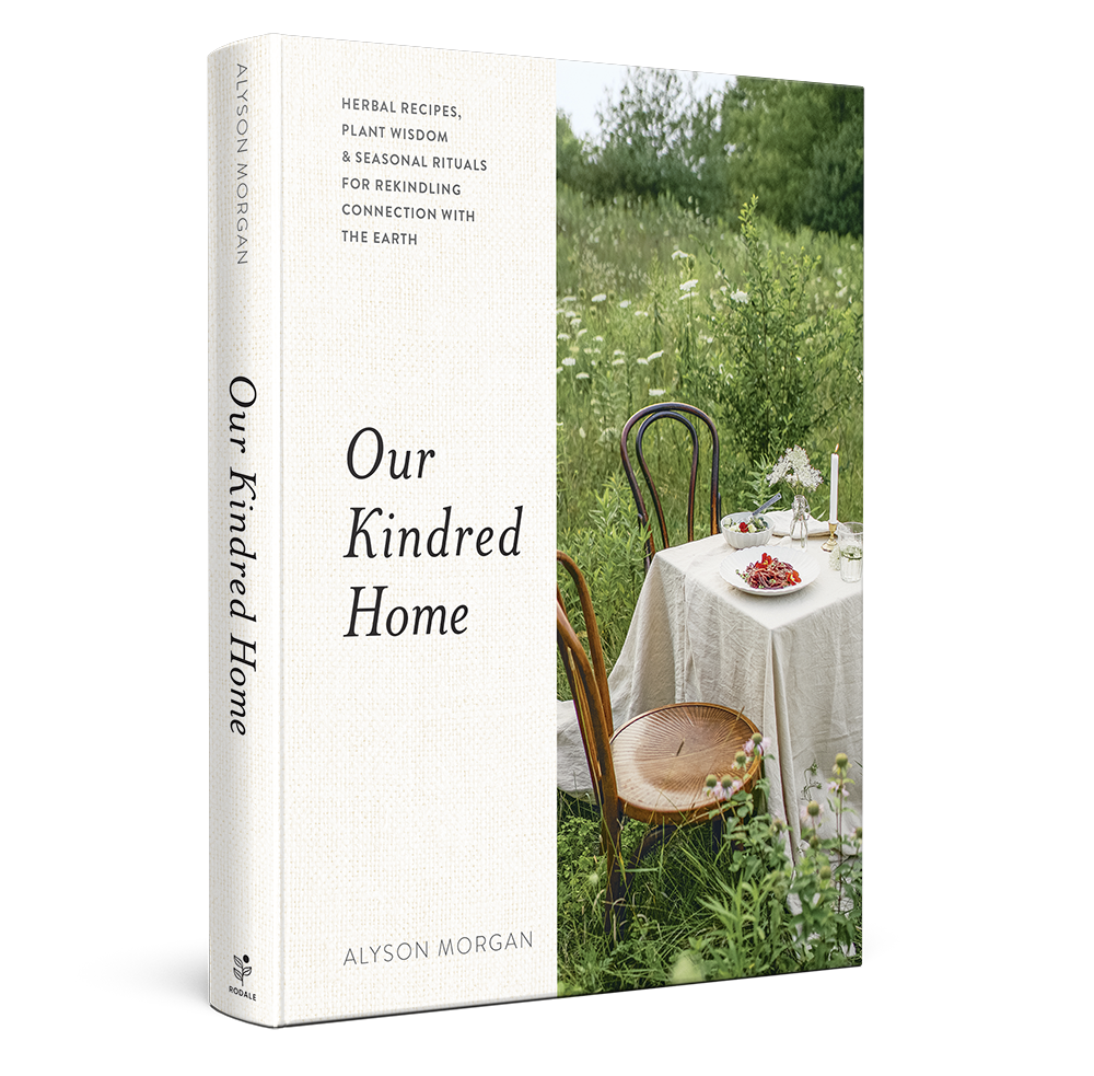 A side profile of the book "Our Kindred Home" by Alyson Morgan