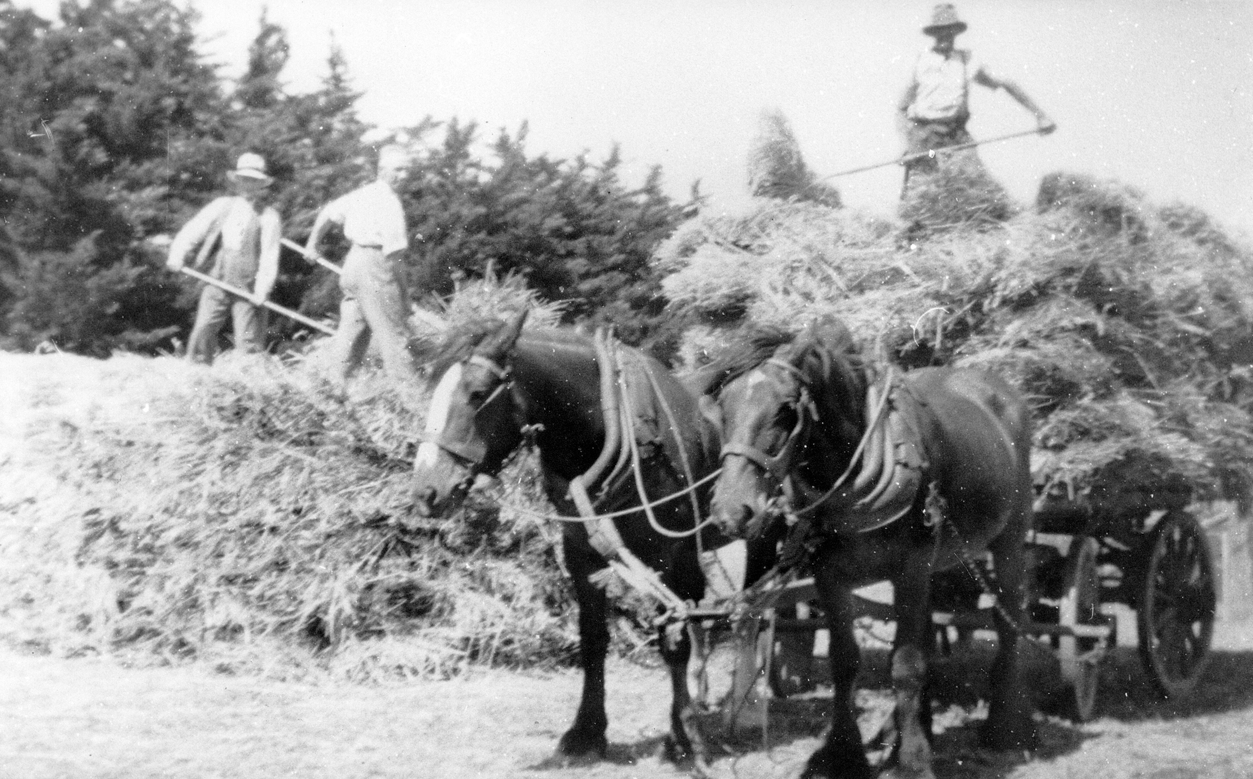 Pribislaw and other German ships
