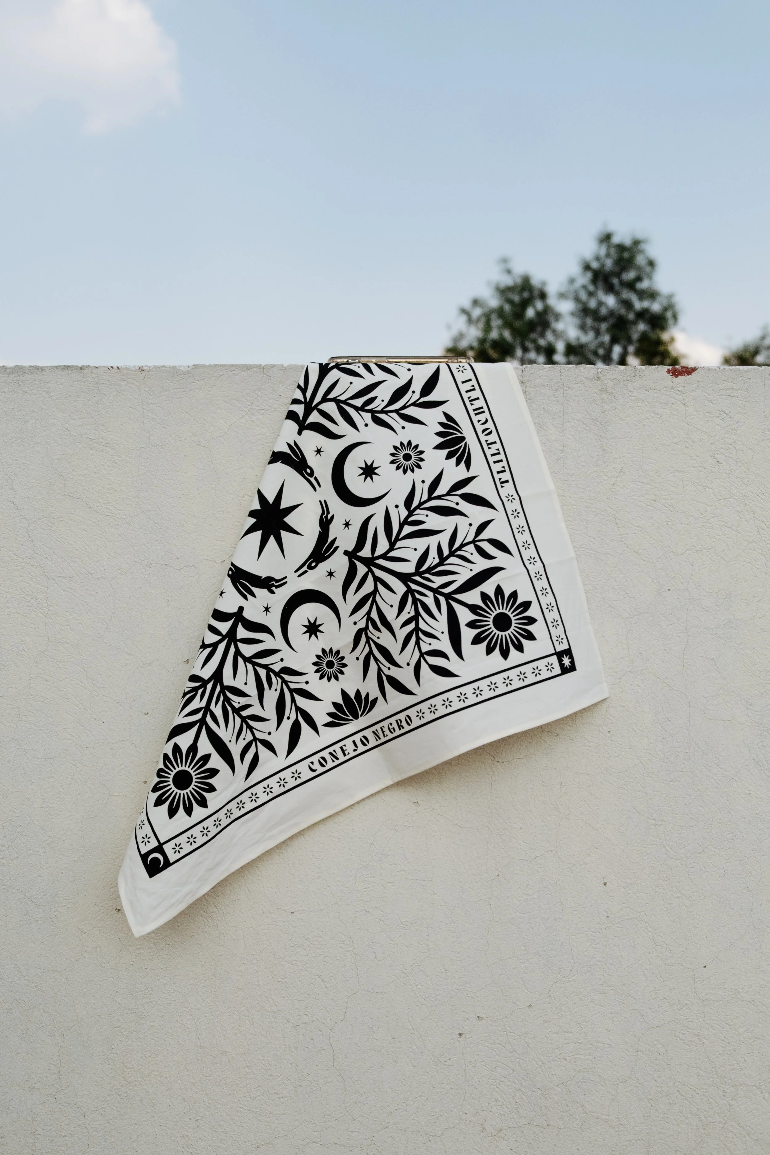 conejonegro-paliacate-mov-blanco-15.JPG