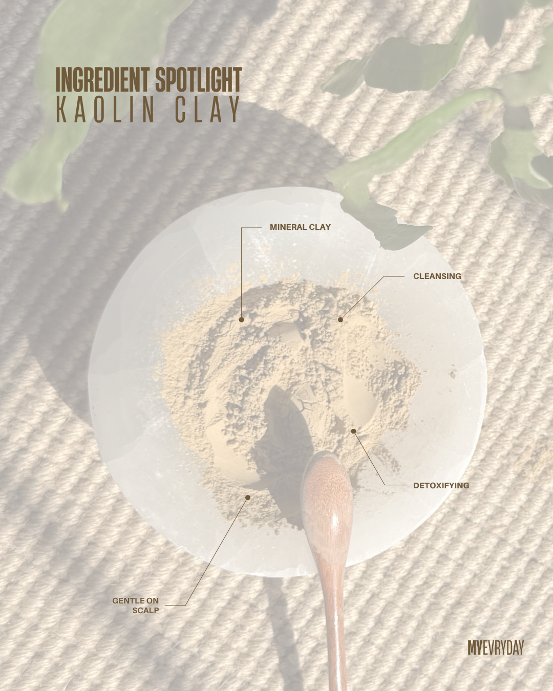 Ingredients - 3.png
